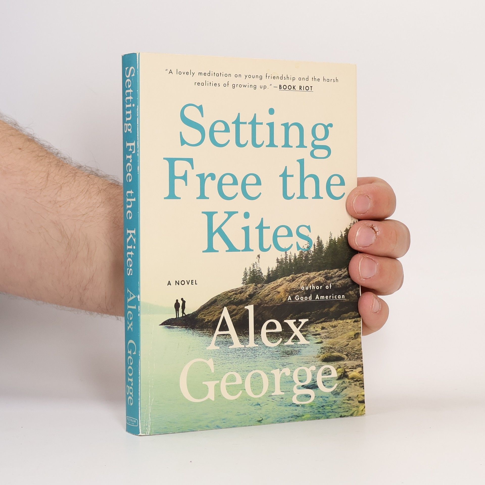 Alex George Setting Free the Kites