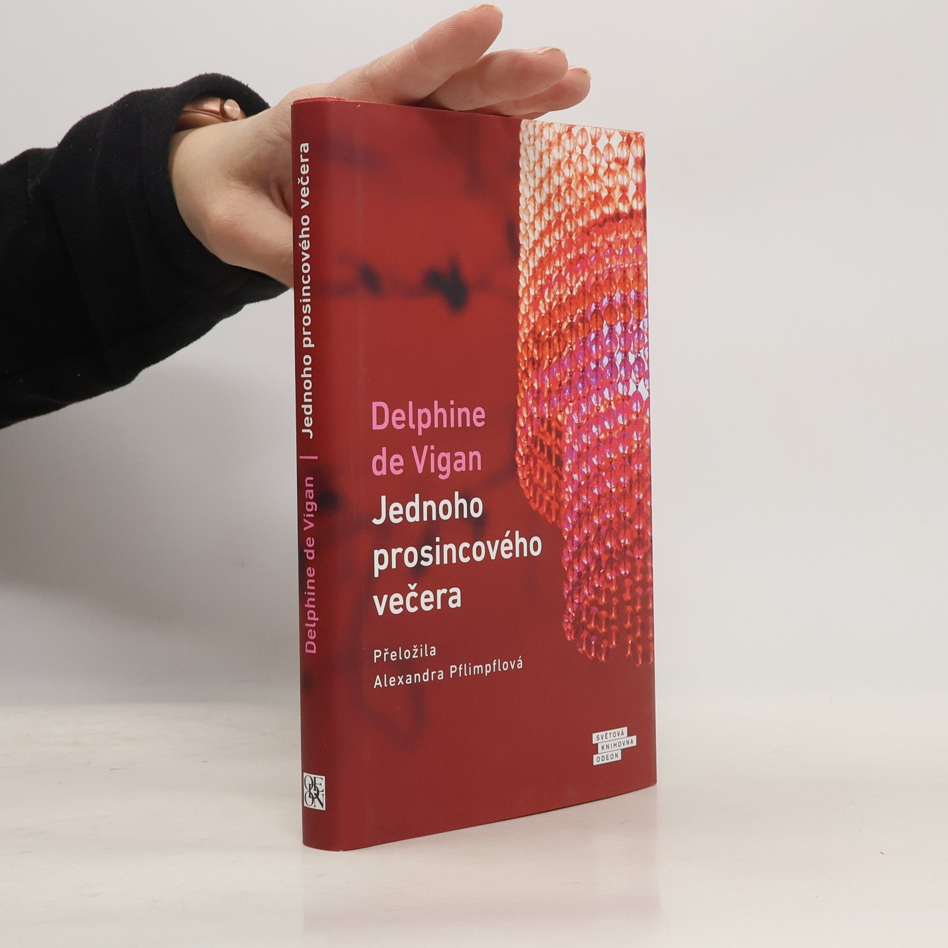 Delphine de Vigan Jednoho prosincového večera