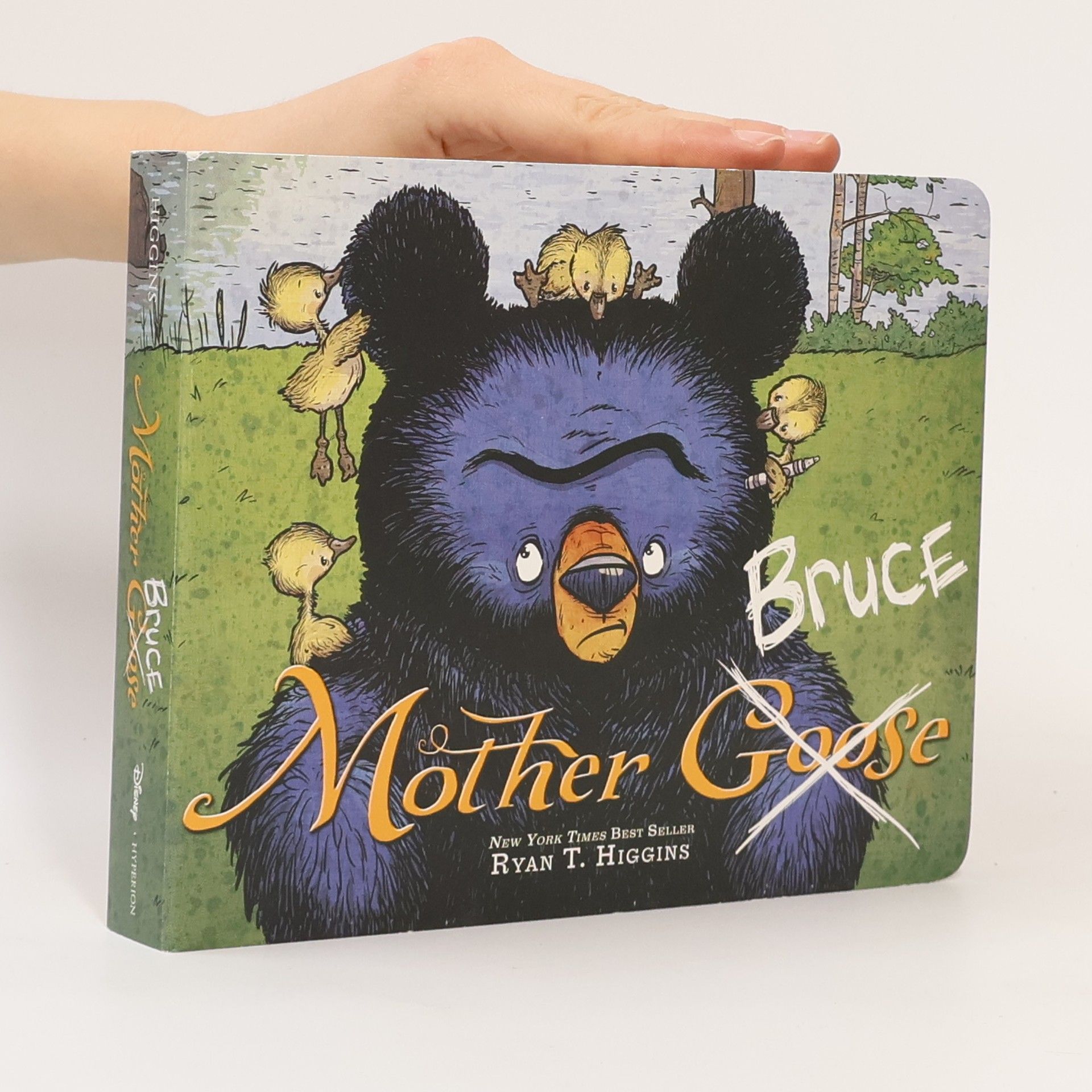 Ryan T. Higgins Mother Bruce