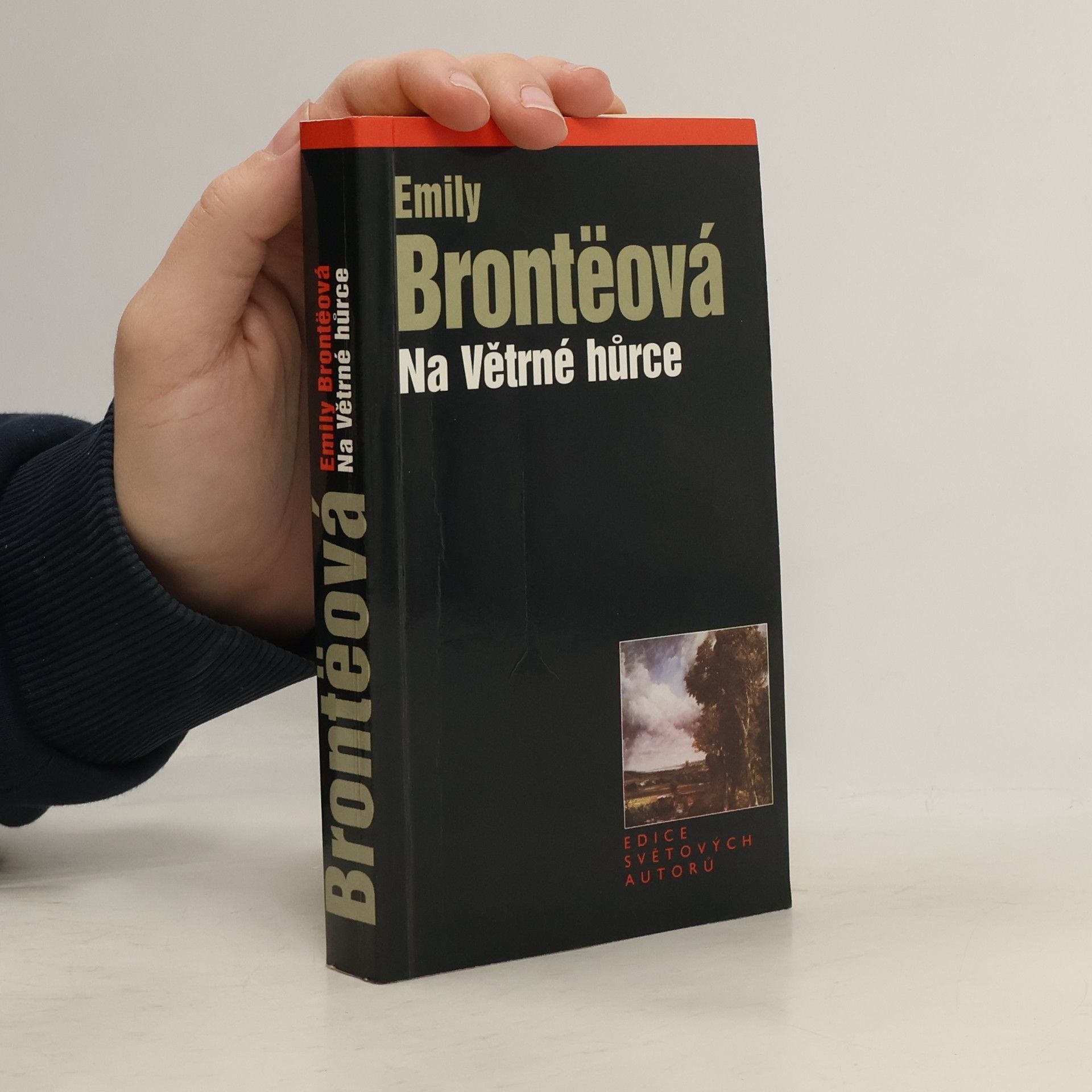 Emily Brontëová Na Větrné hůrce