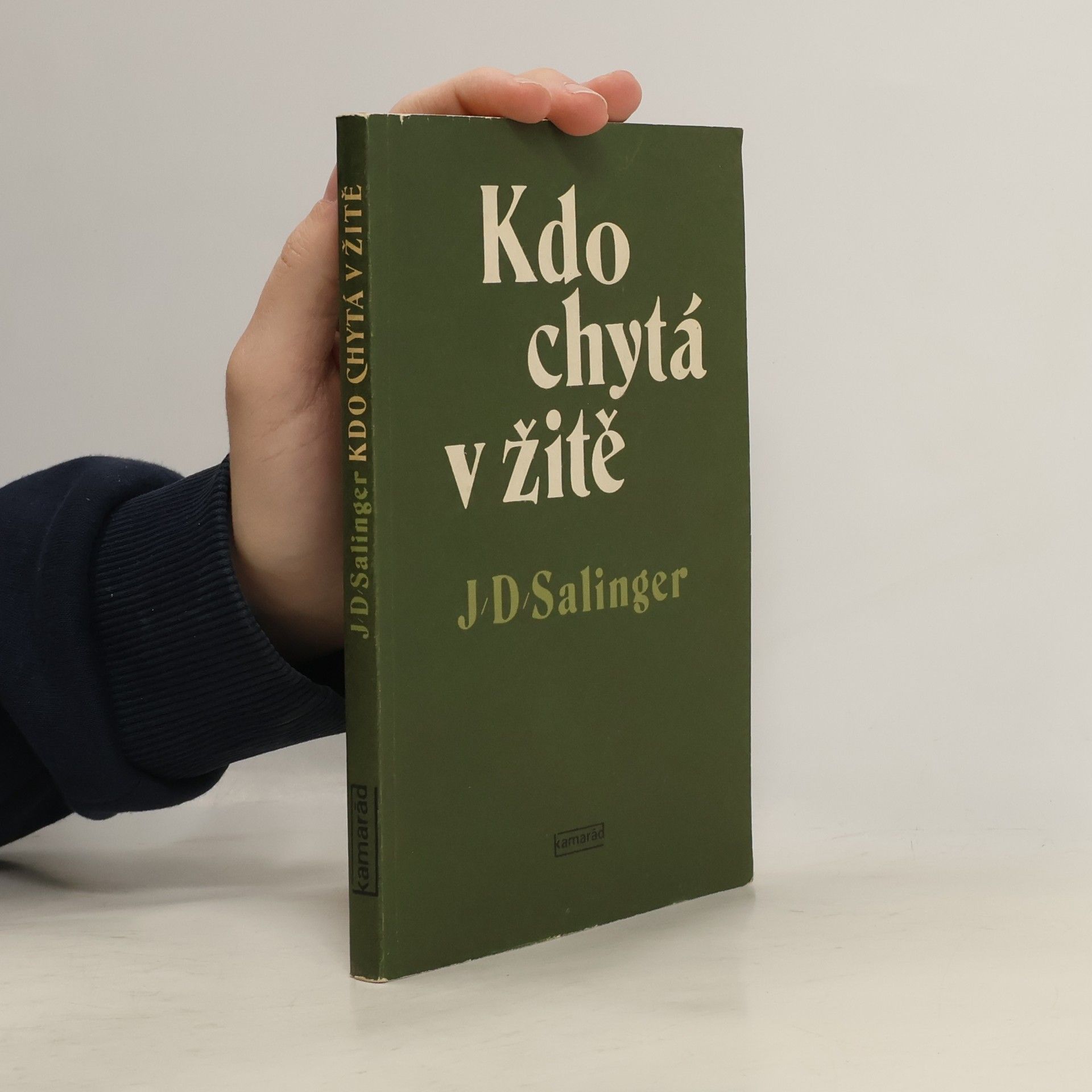 J. D. Salinger Kdo chytá v žitě