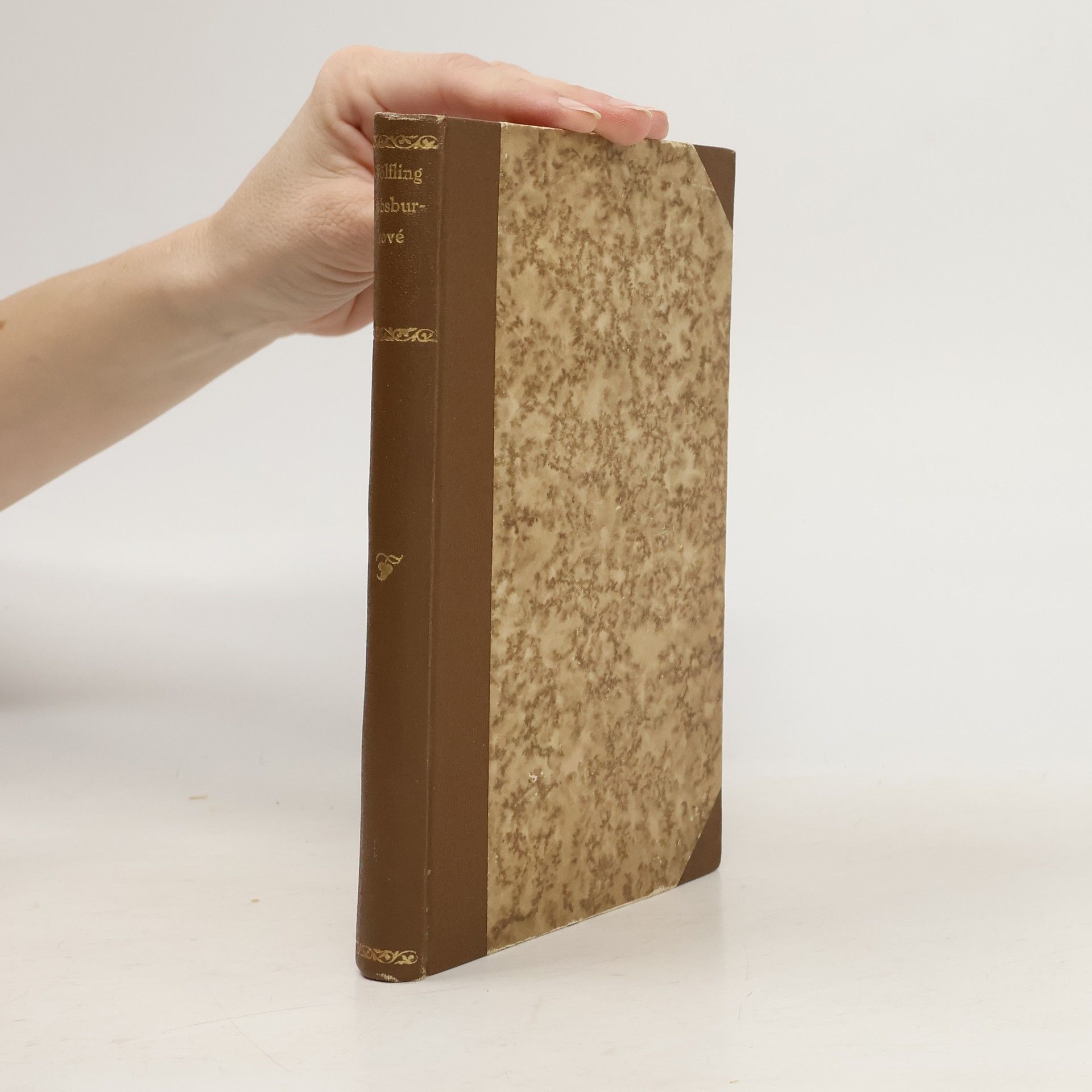 Habsburkové ve vlastním zrcadle