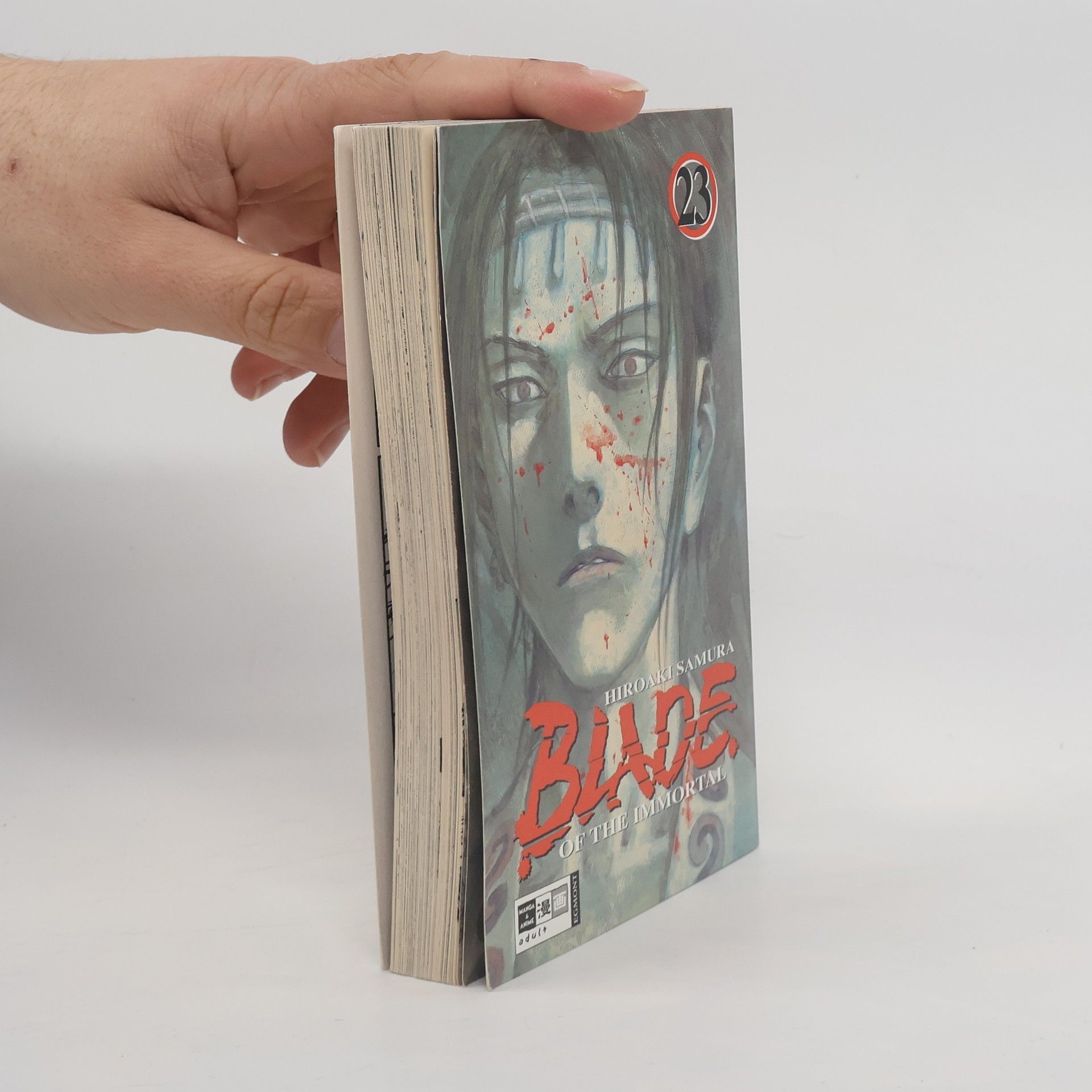 Hiroaki Samura Blade of the immortal 23