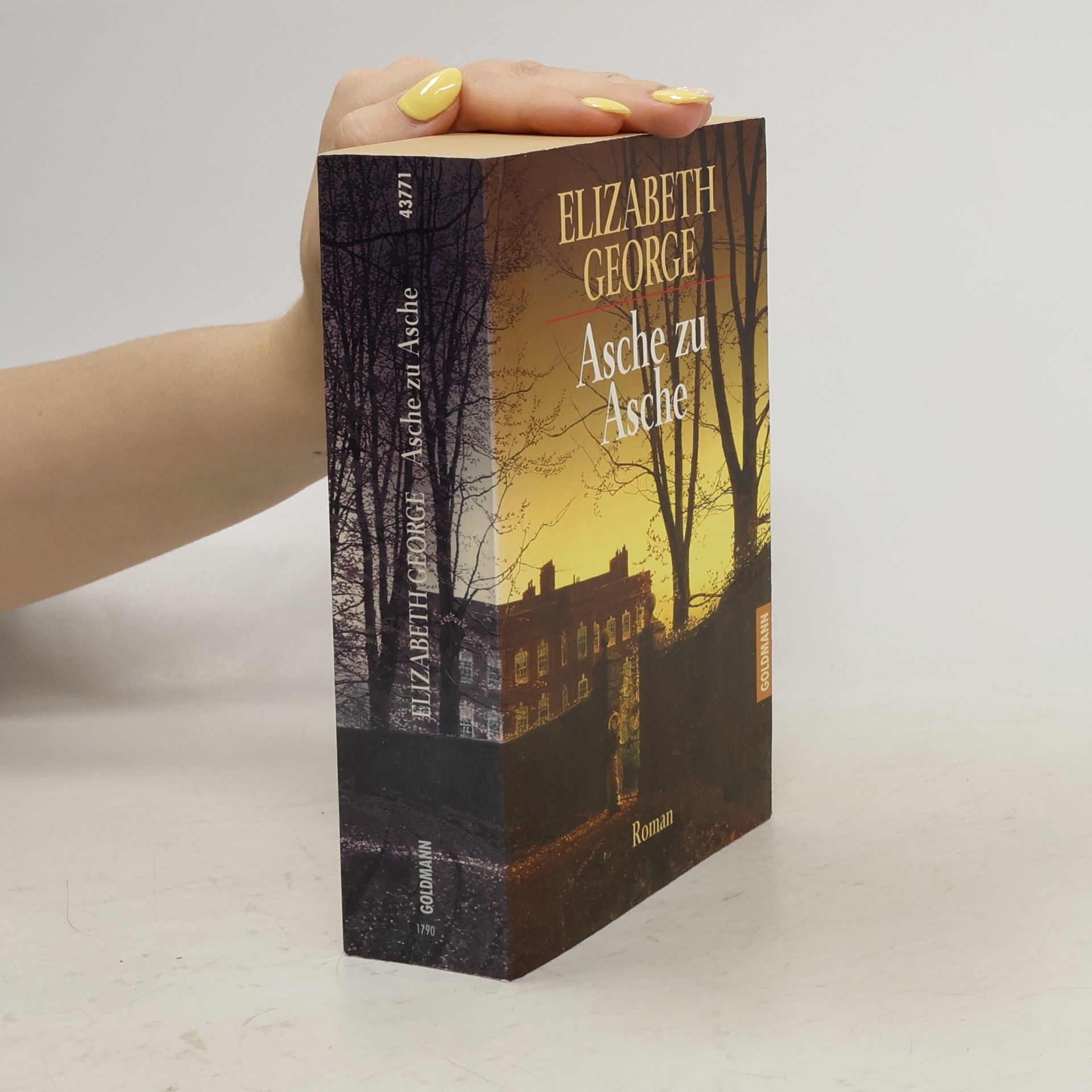 Elizabeth George Asche zu Asche