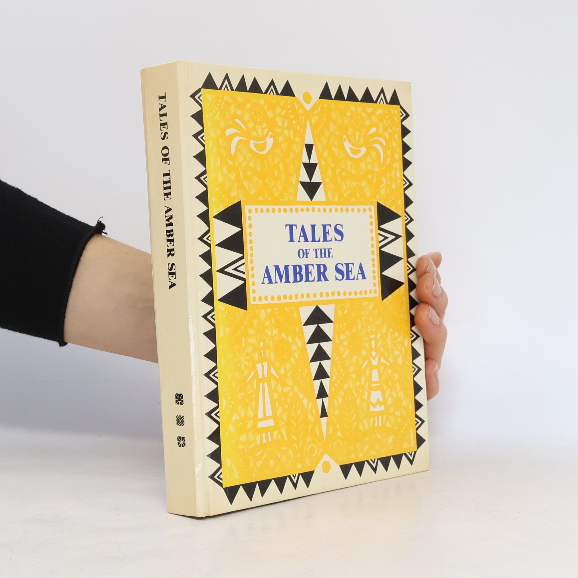 Irina Zheleznova Tales of the Amber Sea