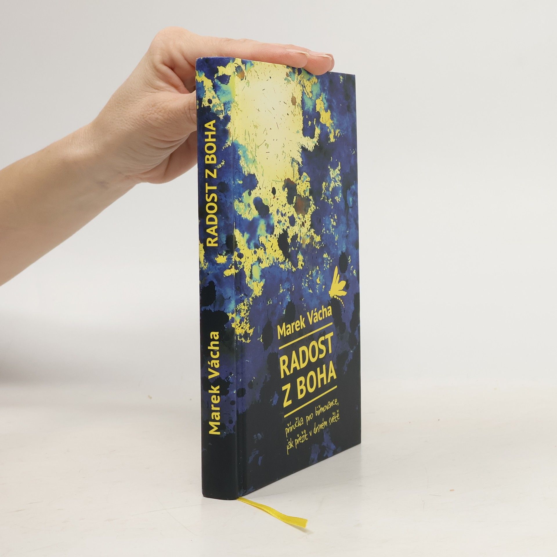 Marek Vácha Radost z Boha. Příručka pro biřmovance, jak přežít v drsném světě