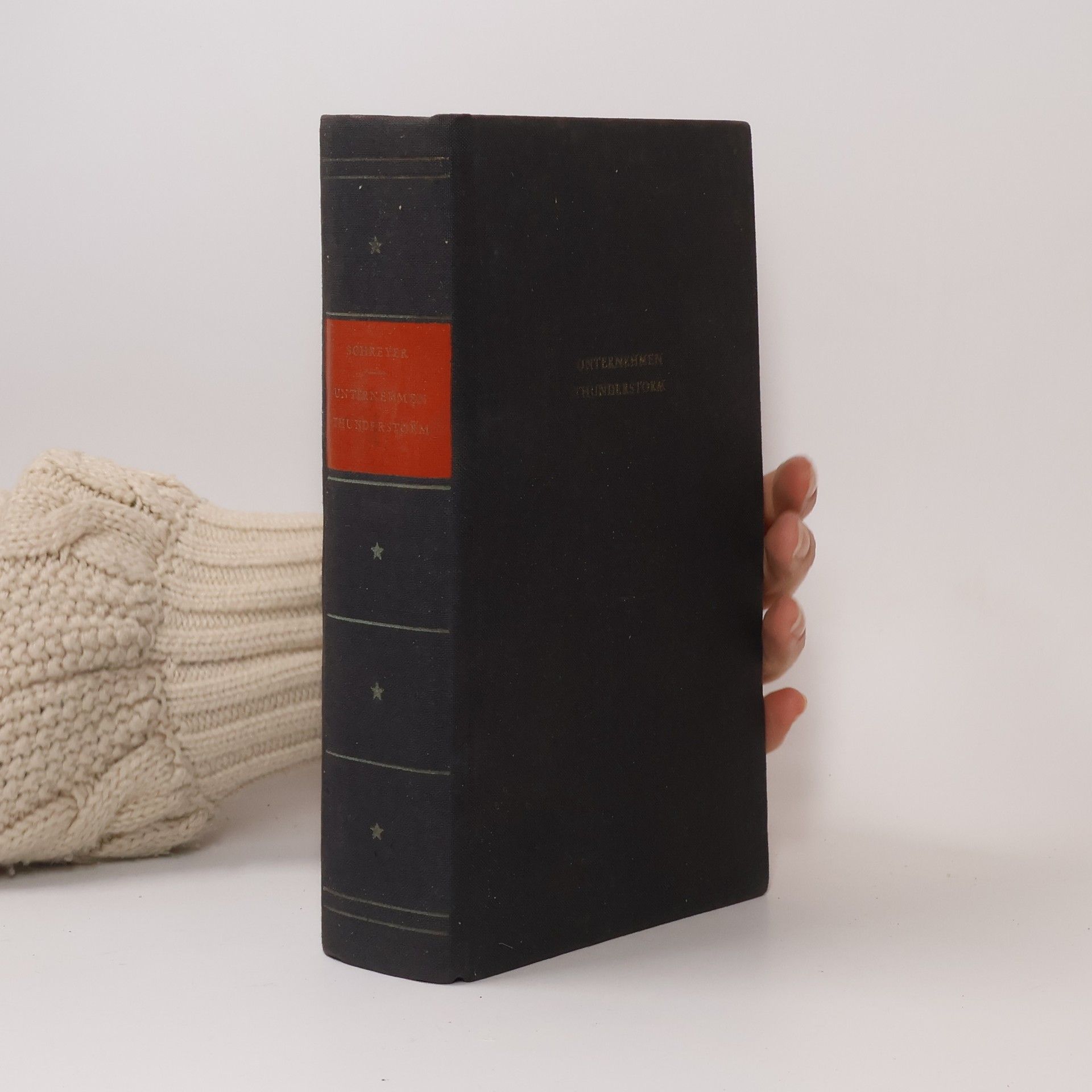 Wolfgang Schreyer Unternehmen Thunderstorm