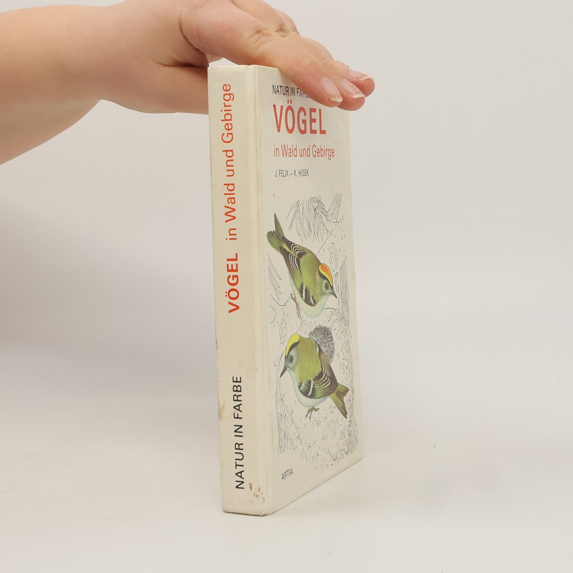 Vögel in Wald und Gebirge