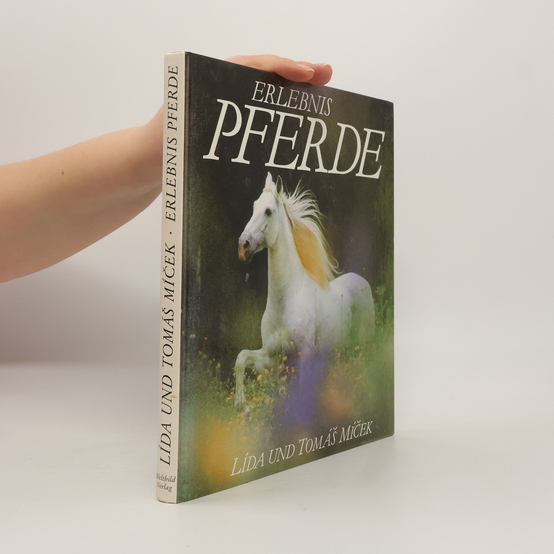 Tomáš Míček Erlebnis Pferde
