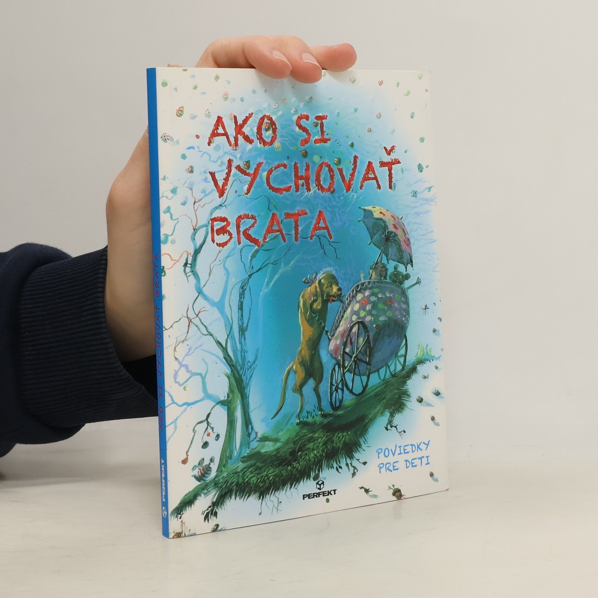 Autorenkollektiv Ako si vychovať brata