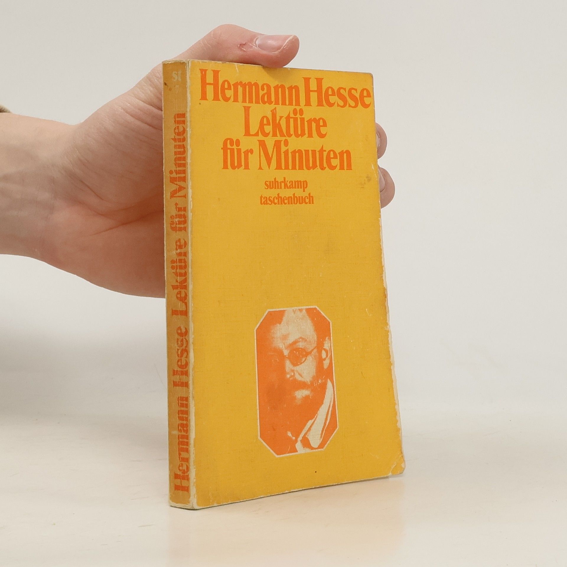 Hermann Hesse Lektüre für Minuten