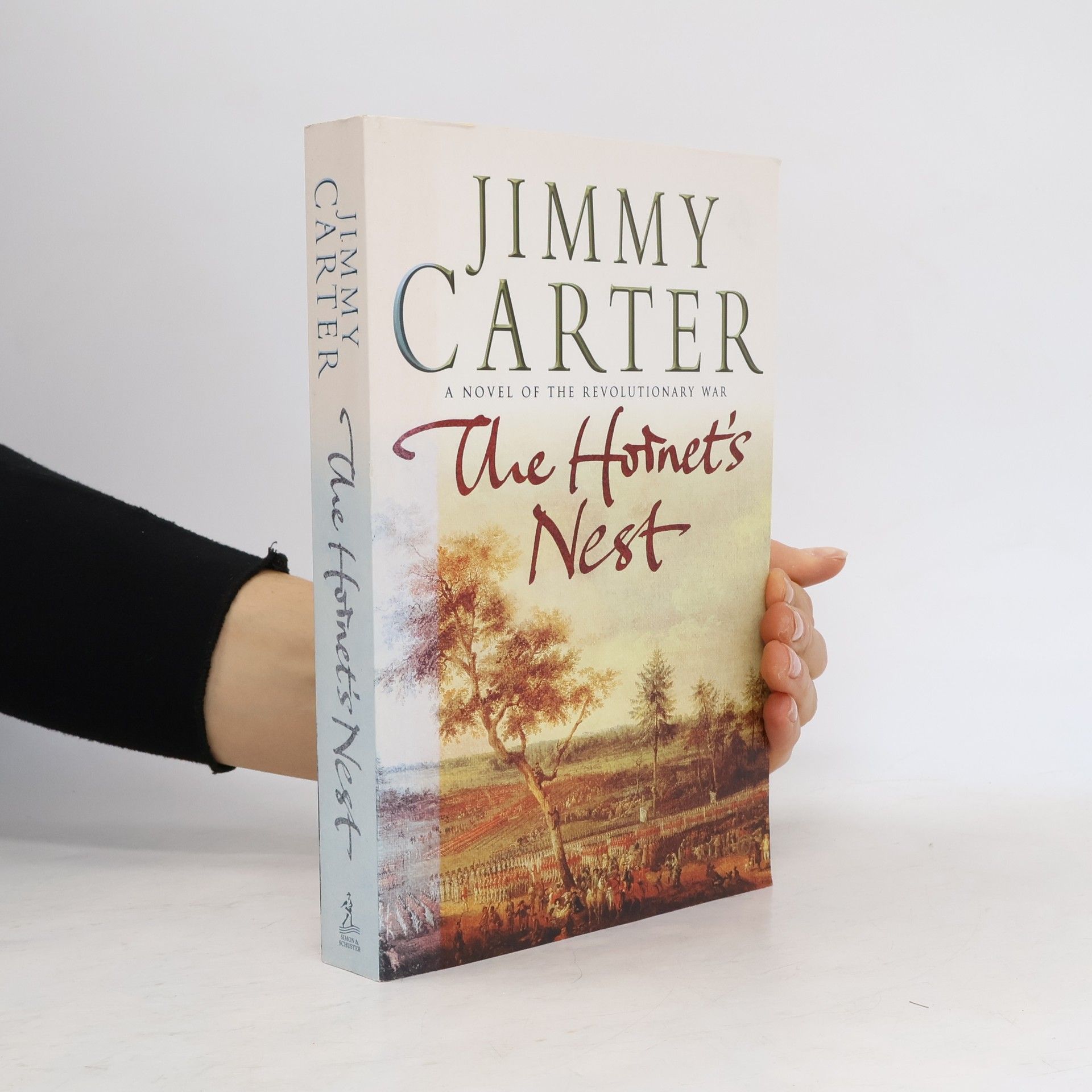 Jimmy Carter The Hornet's Nest