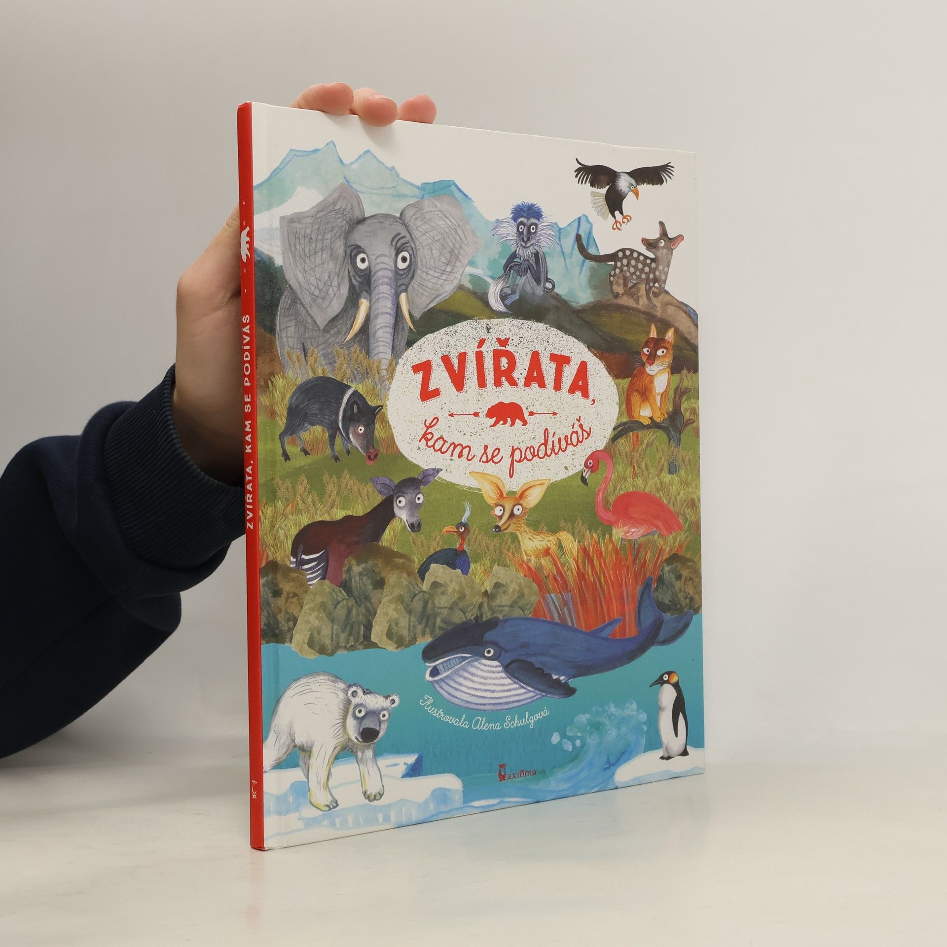 Ivana Kocmanová Zvířata, kam se podíváš