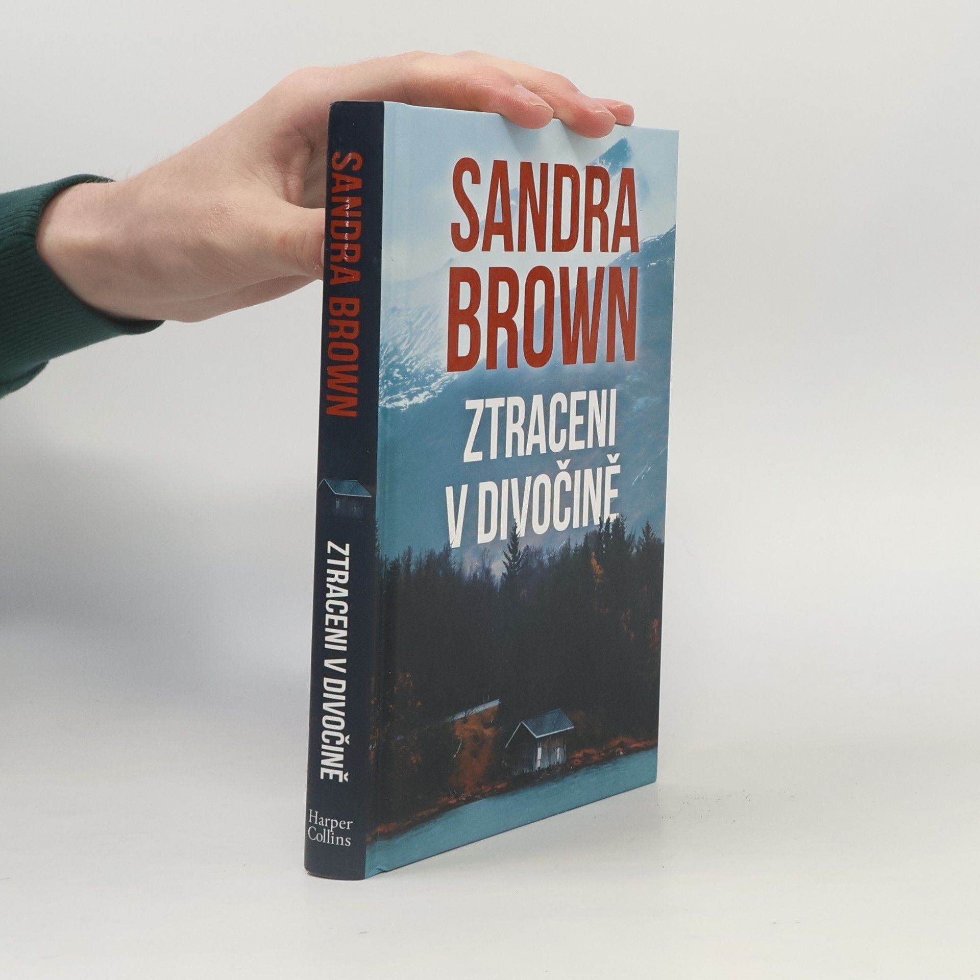 Sandra Brown Ztraceni v divočině