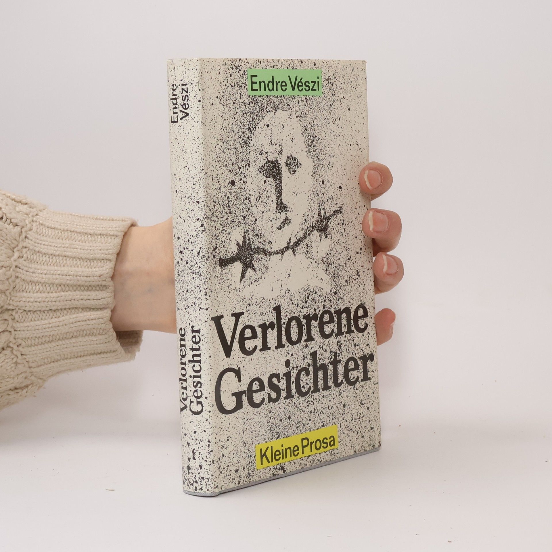 Endre Vészi Verlorene Gesichter