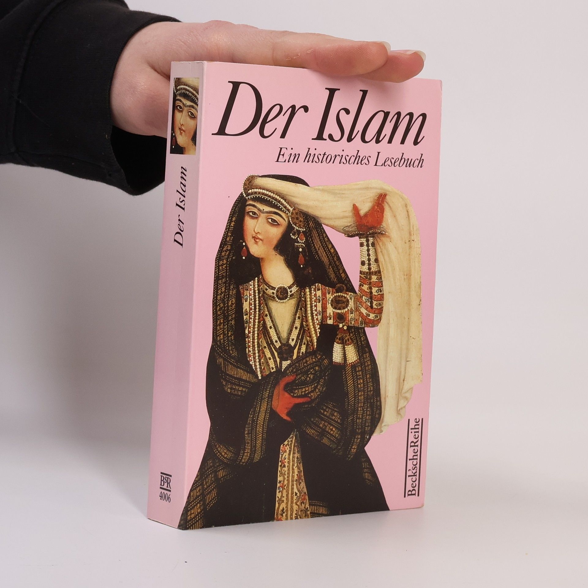 Maria Haarmann Der Islam: ein historisches Lesebuch