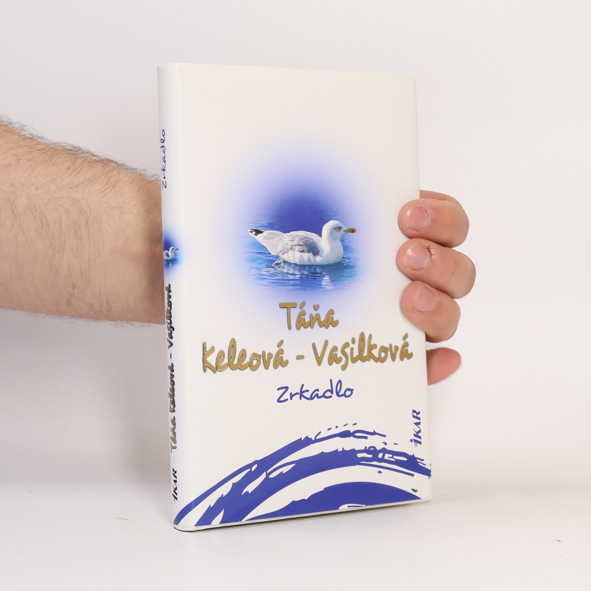 Táňa Keleová-Vasilková Zrkadlo