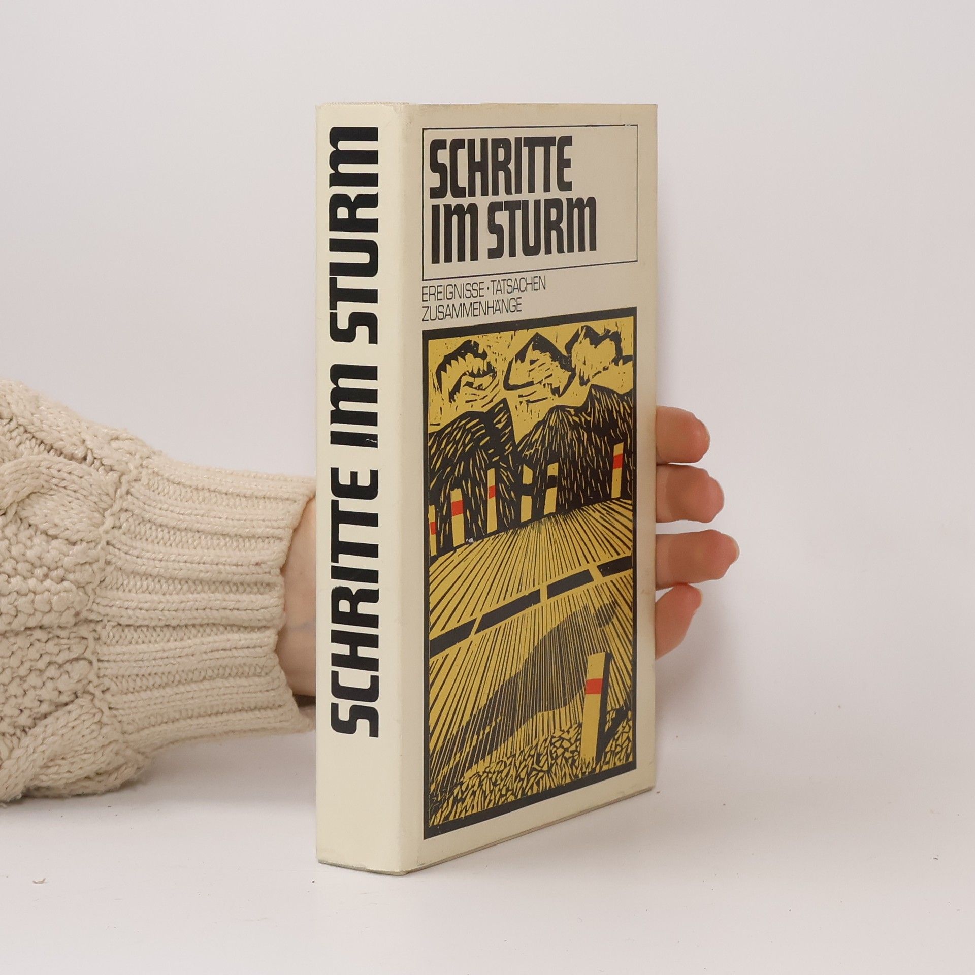 Autorenkollektiv Schritte im Sturm