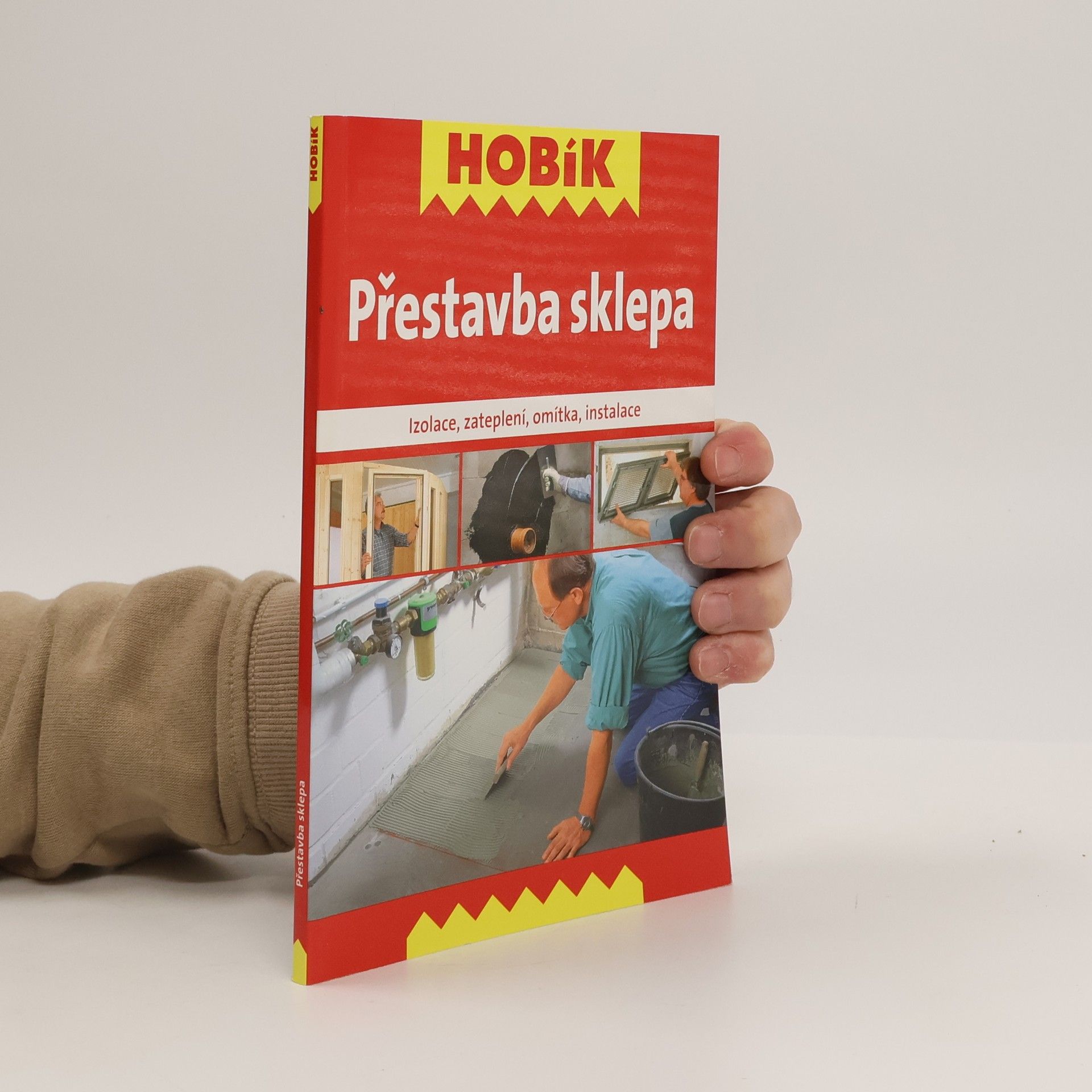 Kolektív autorov Přestavba sklepa : izolace, zateplení, omítka, instalace