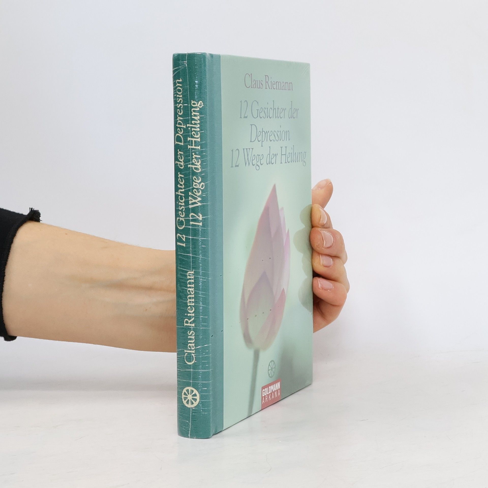Claus Riemann 12 Gesichter der Depression. 12 Wege der Heilung
