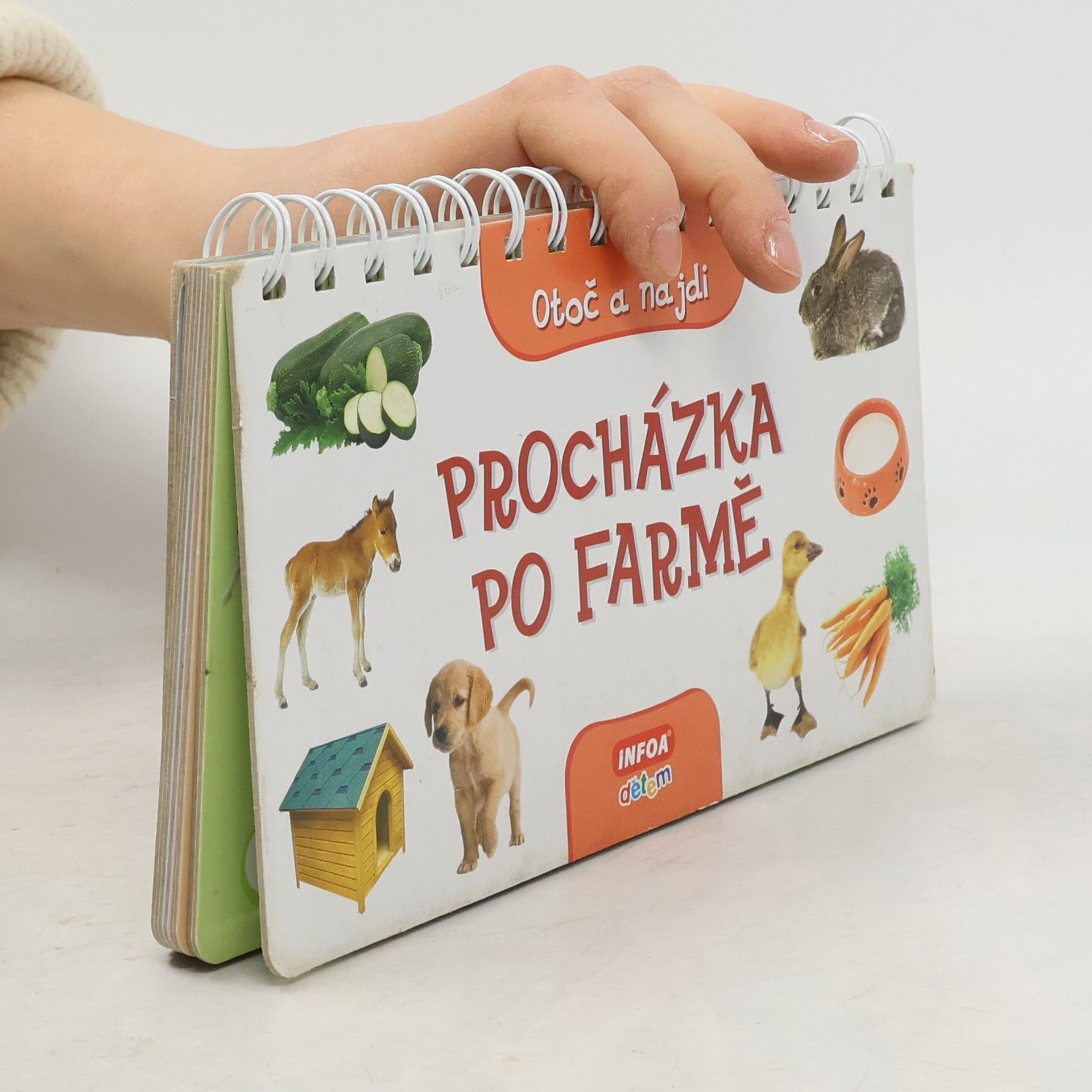 Kolektiv autorů Procházka po farmě