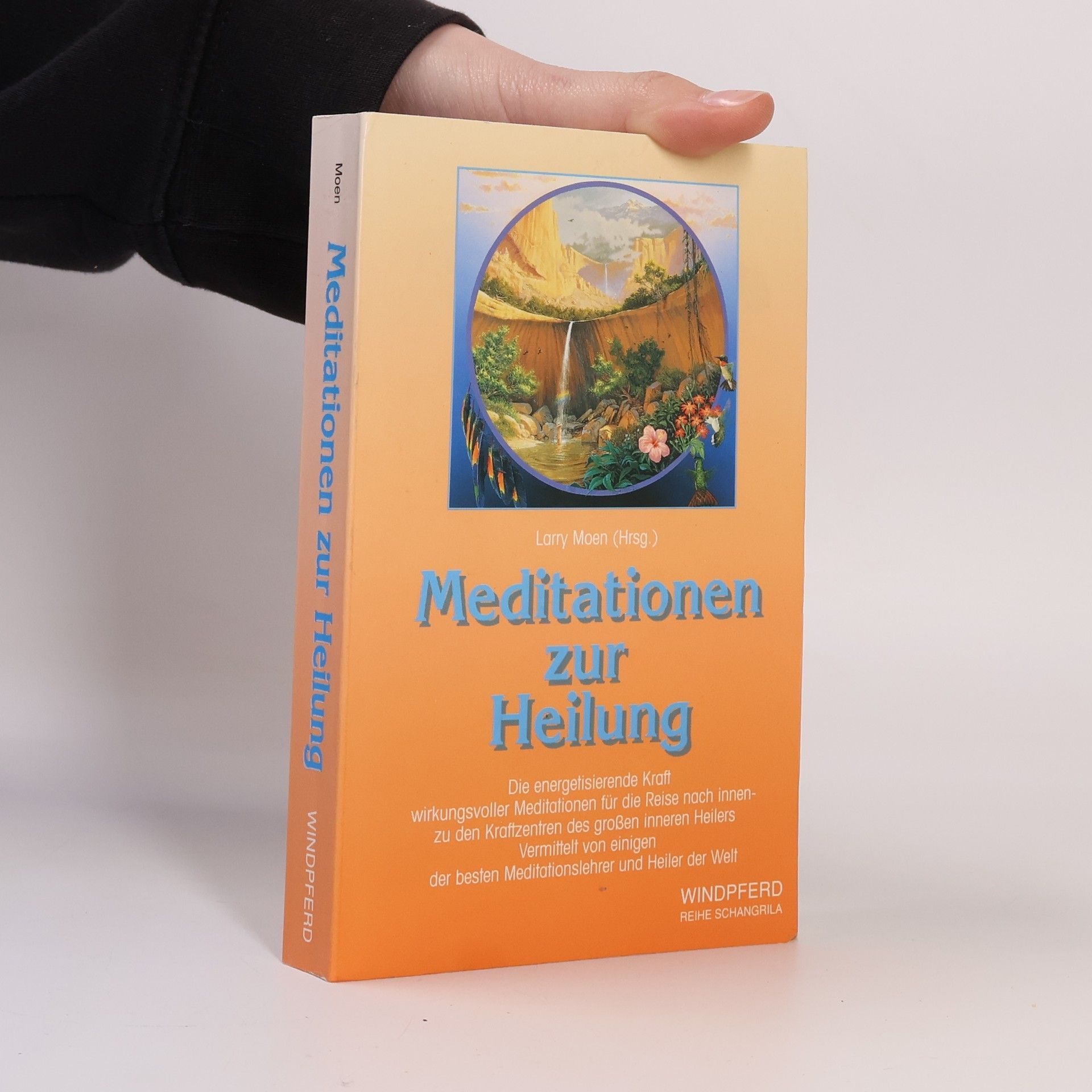 Larry Moen Meditationen zur Heilung