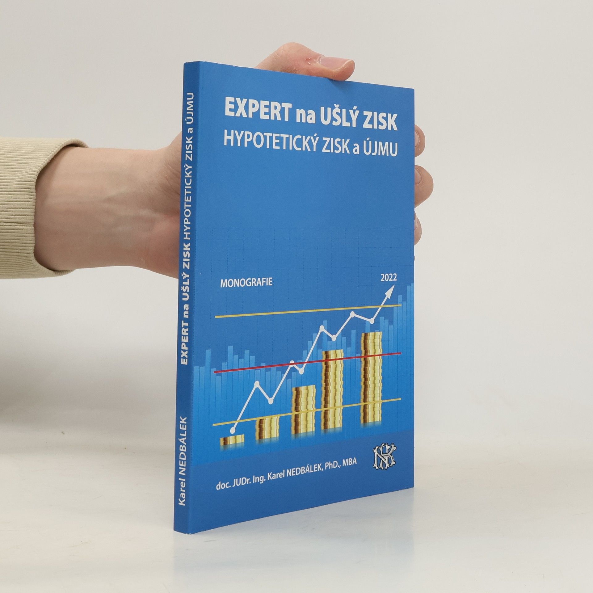 Expert na ušlý zisk, hypotetický zisk a újmu