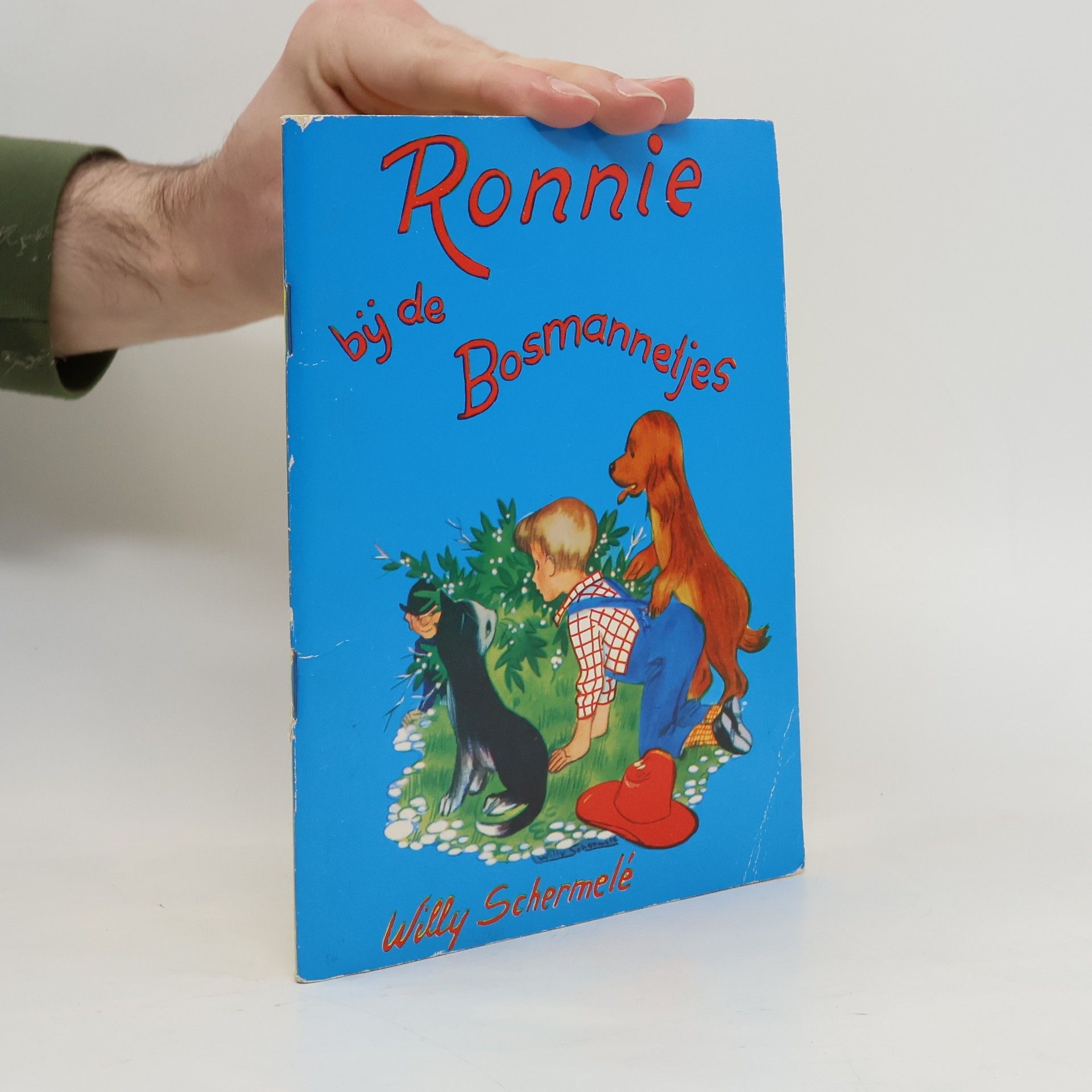 Benjamin boekjes - Ronnie - 1: Ronnie en de bosmannetjes