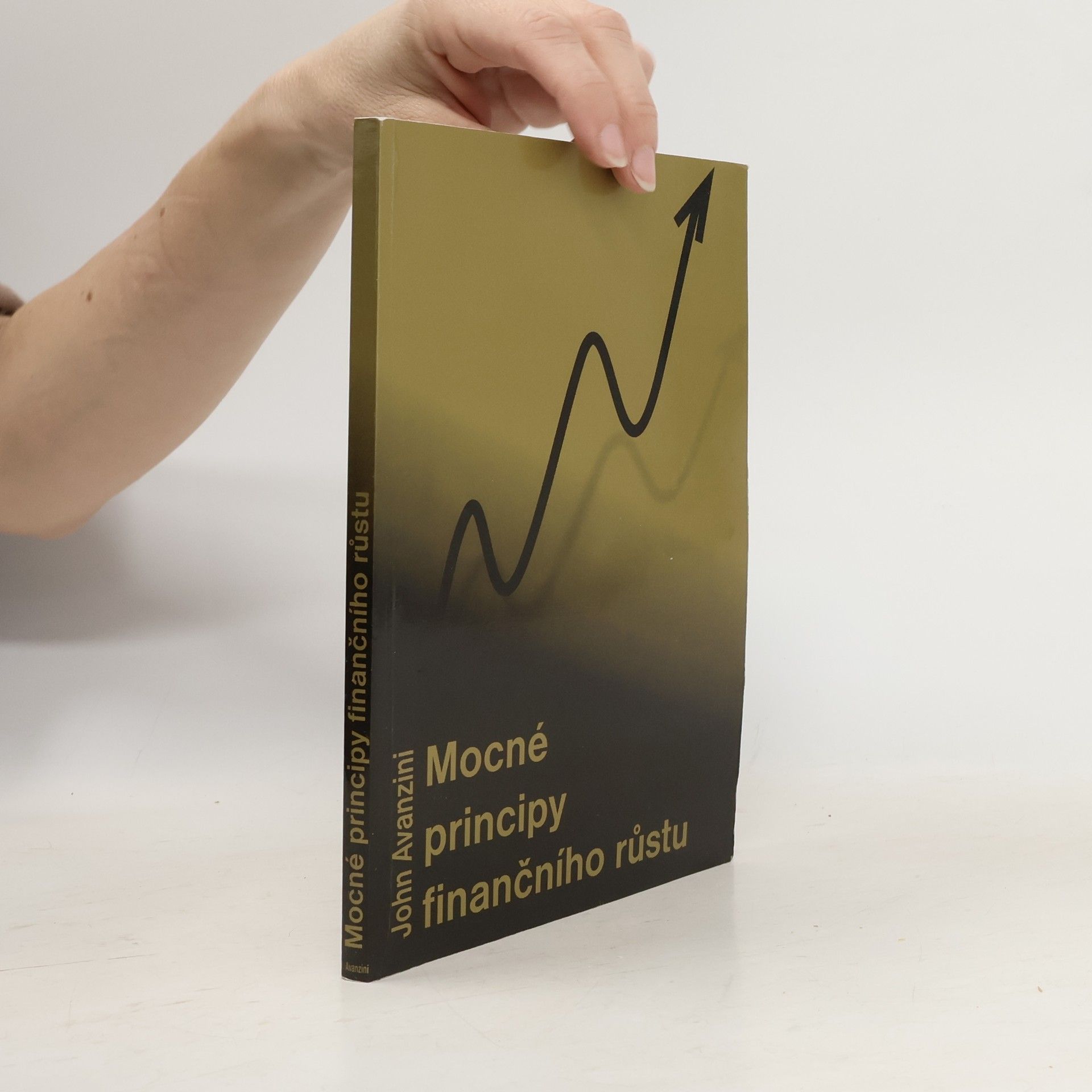 John Avanzini Mocné principy finančního růstu