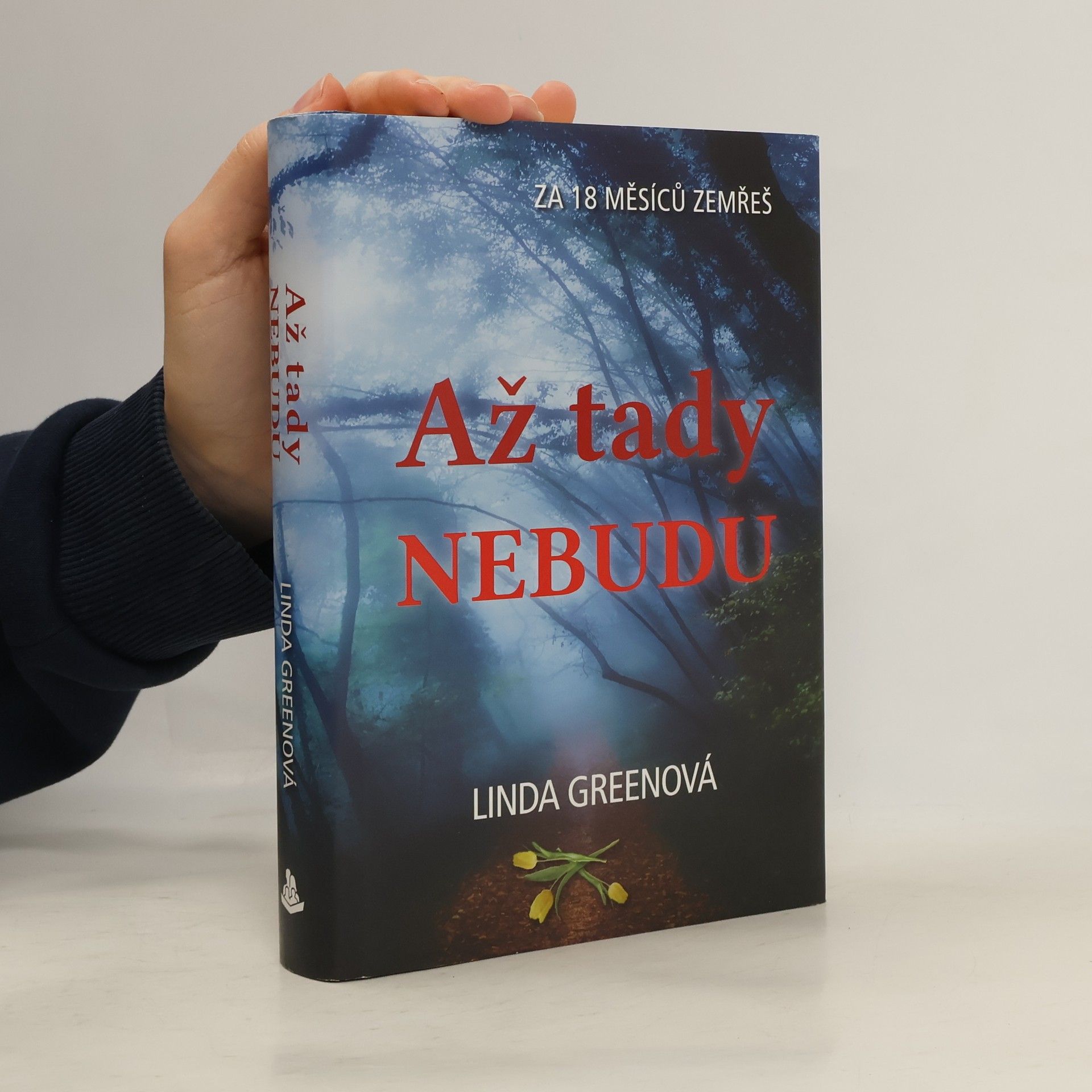 Linda Green Až tady nebudu