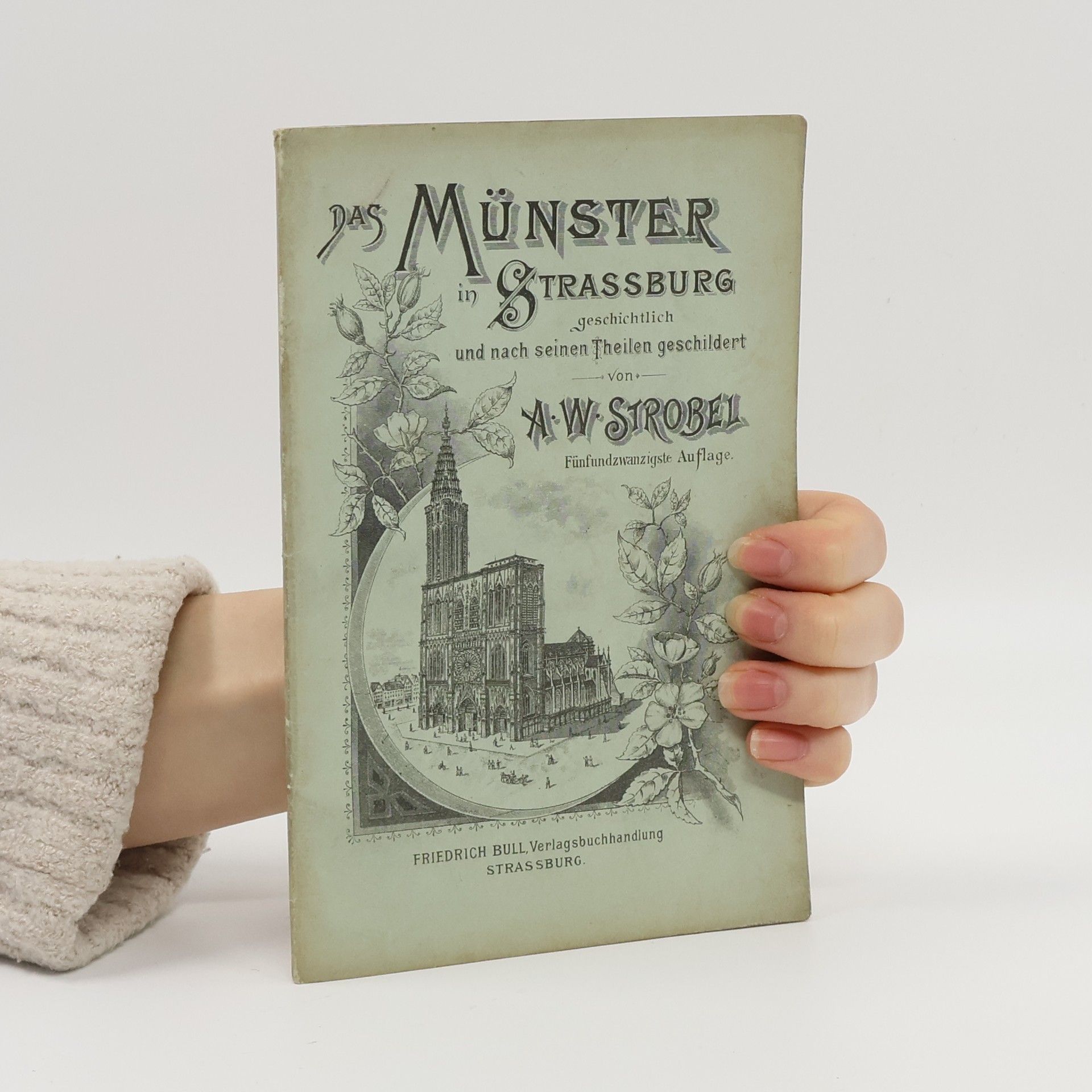 Adam Walther Strobel Das münster in Strassburg