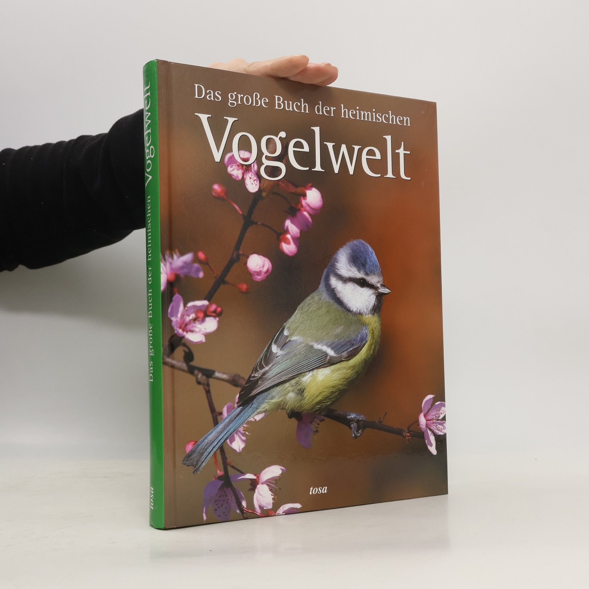 Regine Radscheit Das große Buch der heimischen Vogelwelt