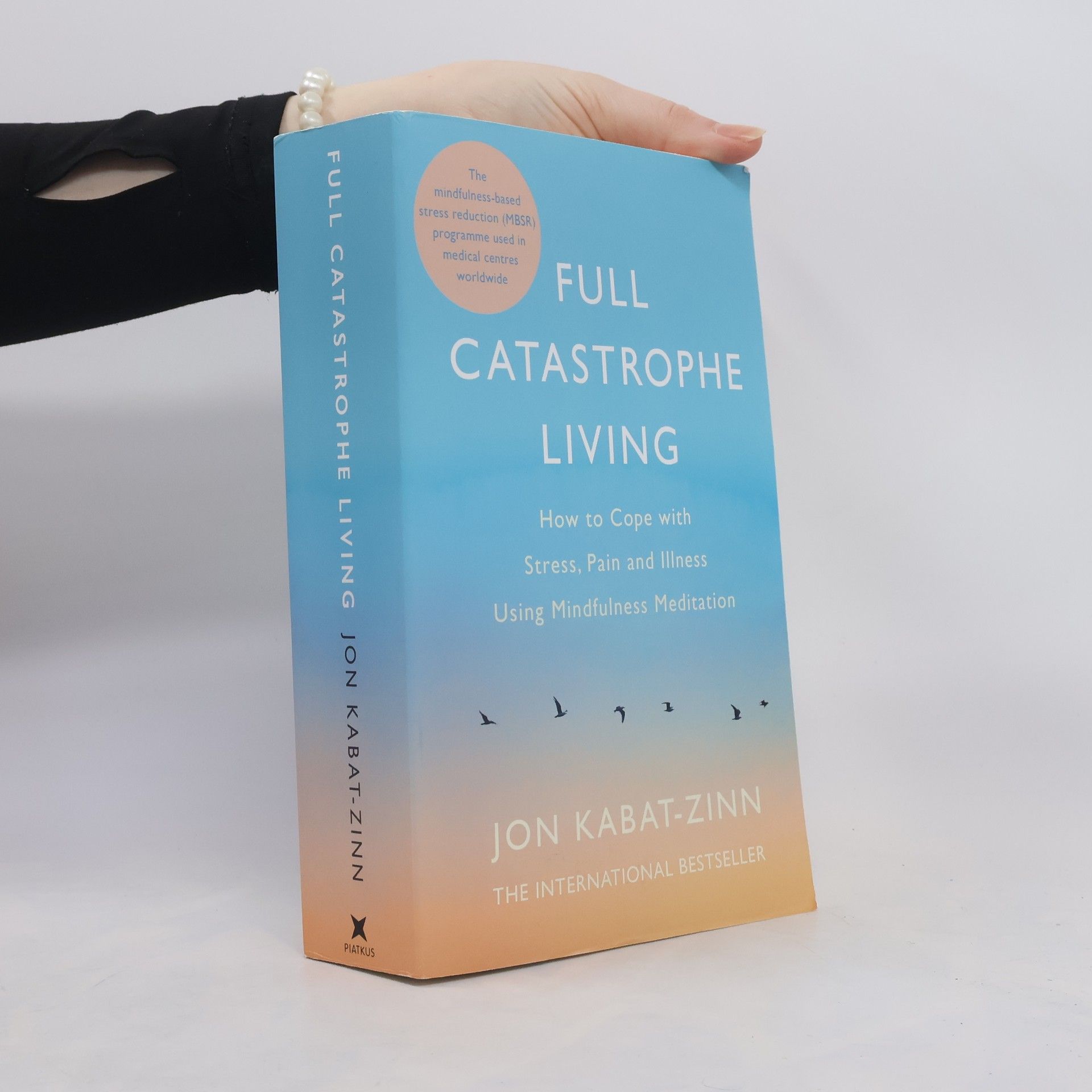 Jon Kabat-Zinn Full catastrophe living