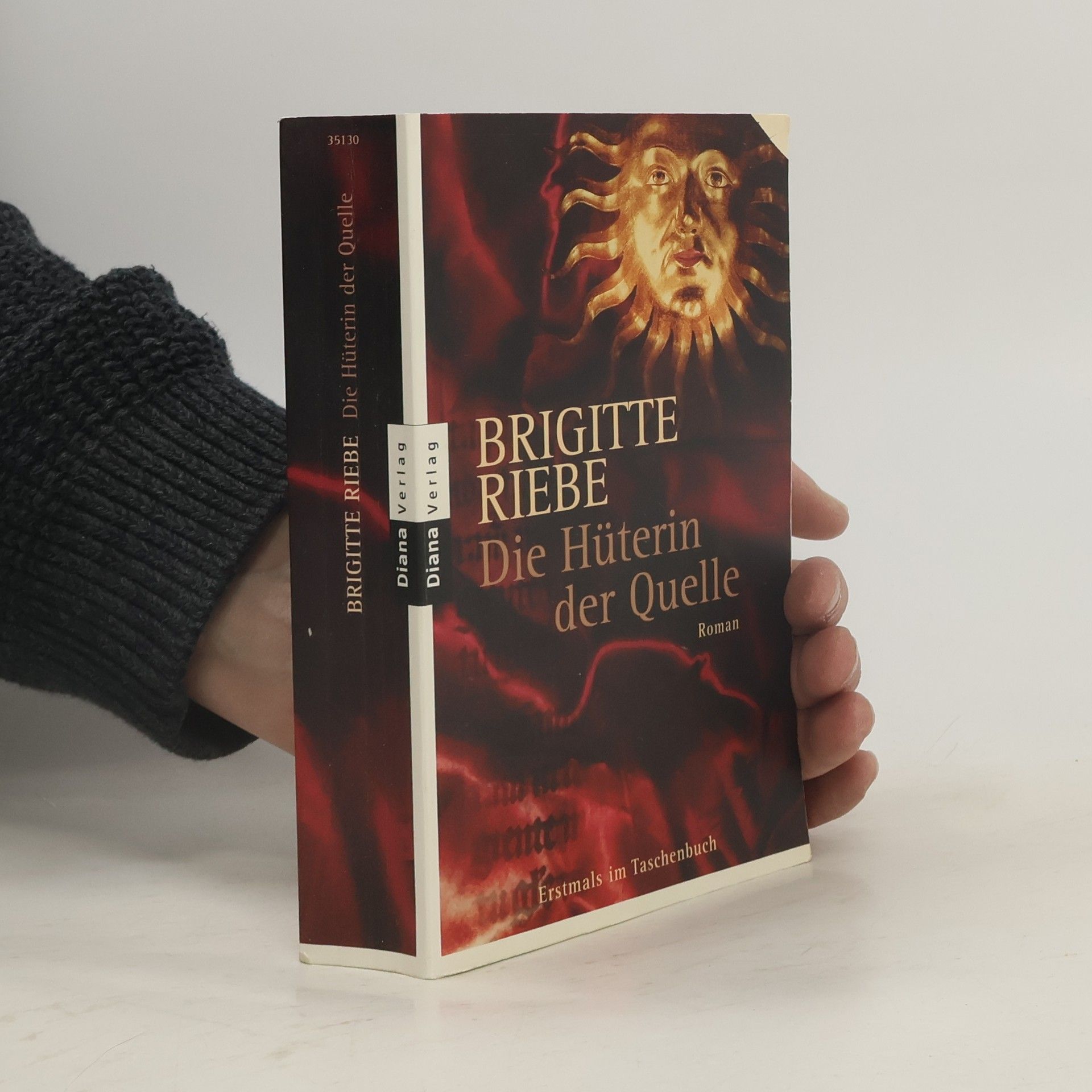 Brigitte Riebe Die Hüterin der Quelle