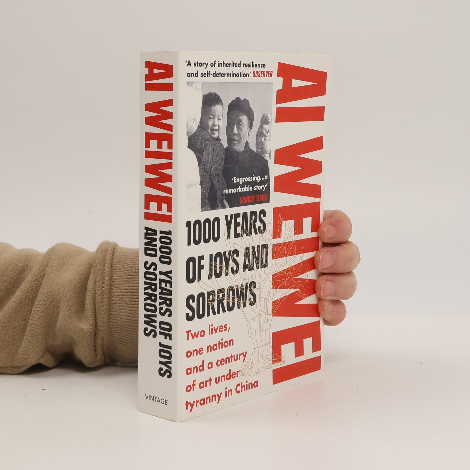 Aj Wej-wej 1000 Years of Joys and Sorrows