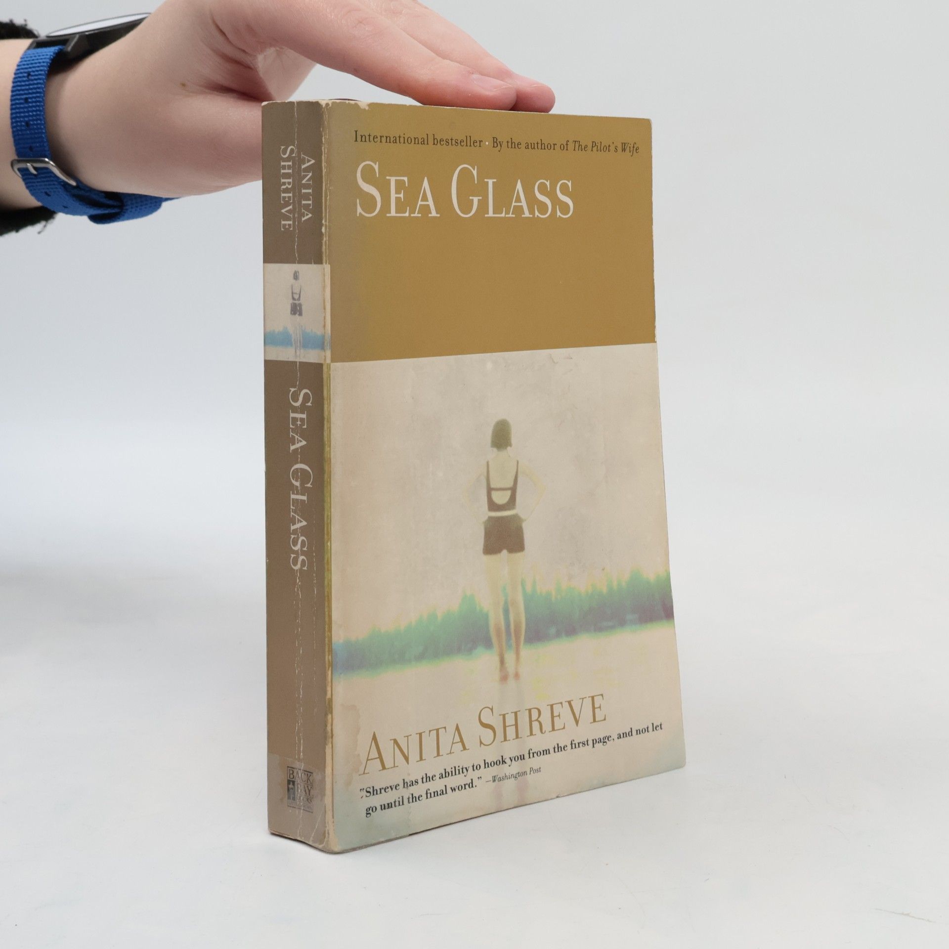 Anita Shreve Sea Glass
