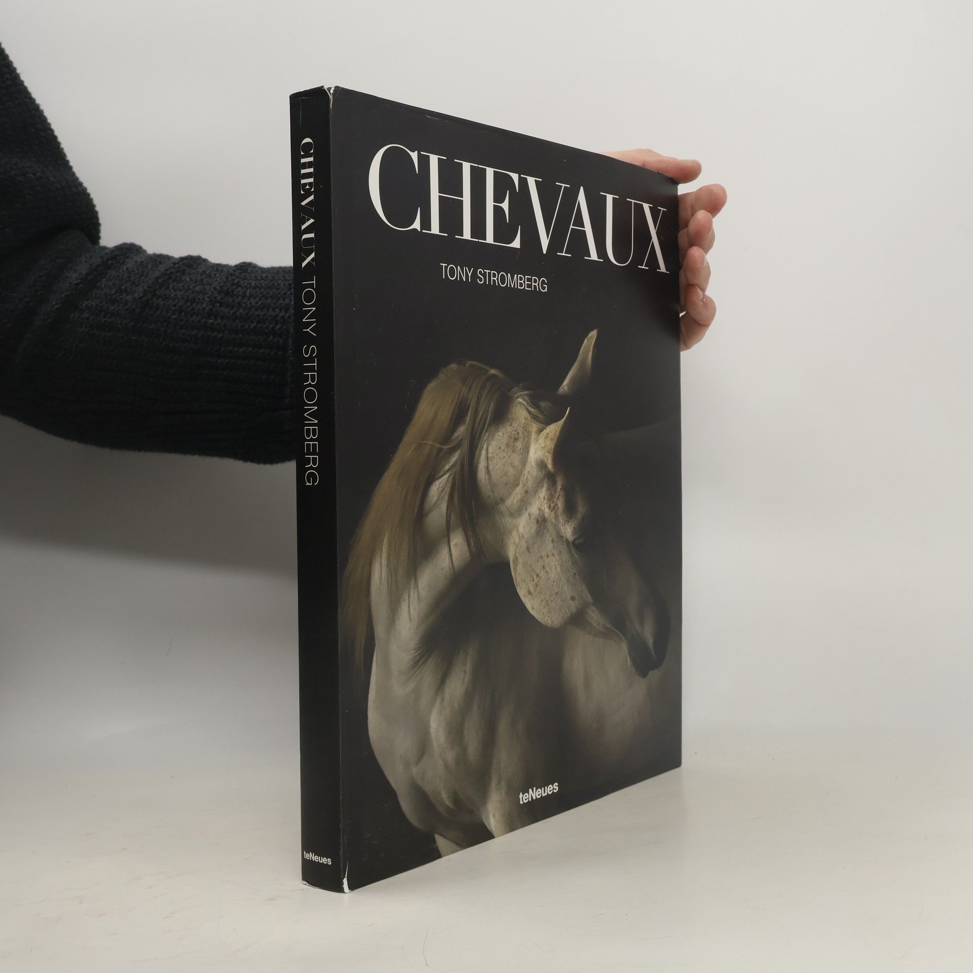 Tony Stromberg Chevaux