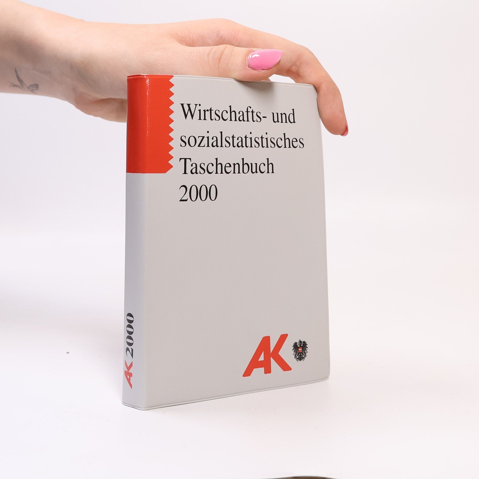 Kolektiv autorů Wirtschafts- und sozialstatistisches Taschenbuch 2000