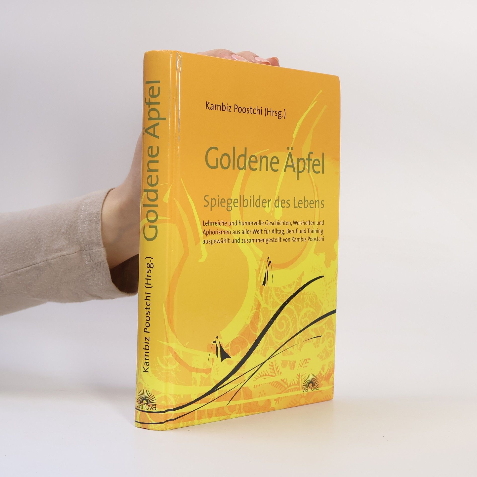 Kambiz Poostchi Goldene Äpfel, Spiegelbilder des Lebens