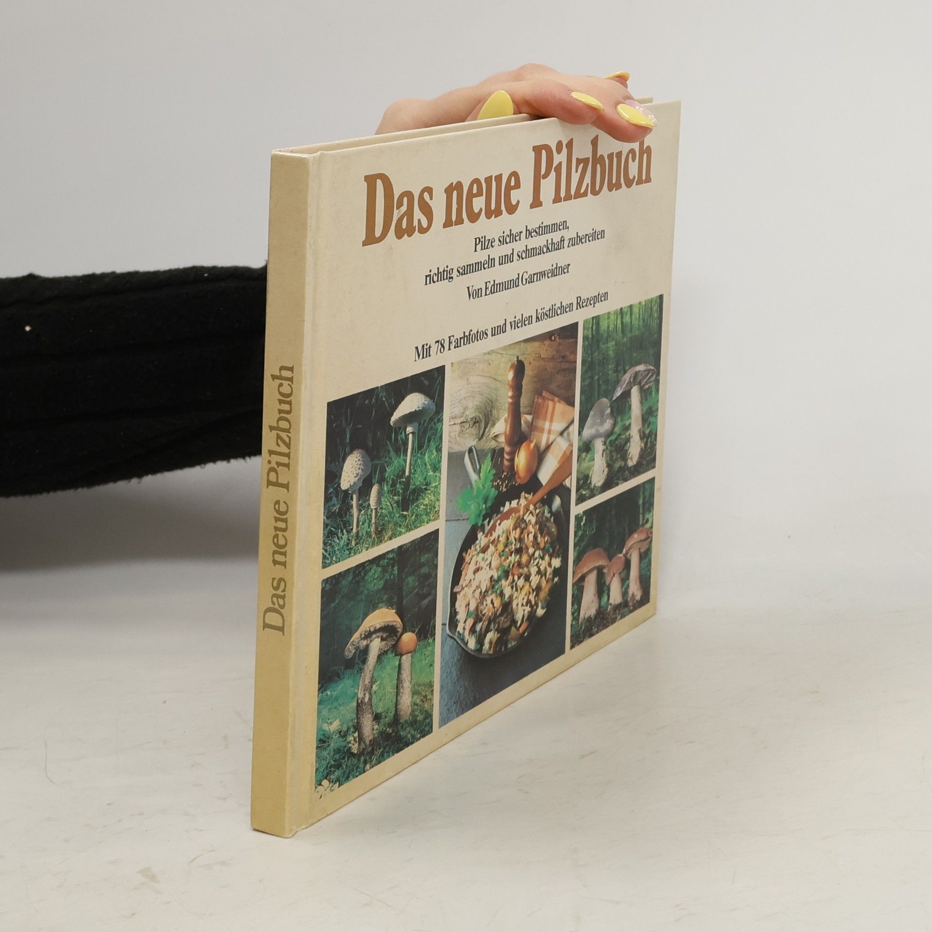 Kolektiv autorů Das neue Pilzbuch