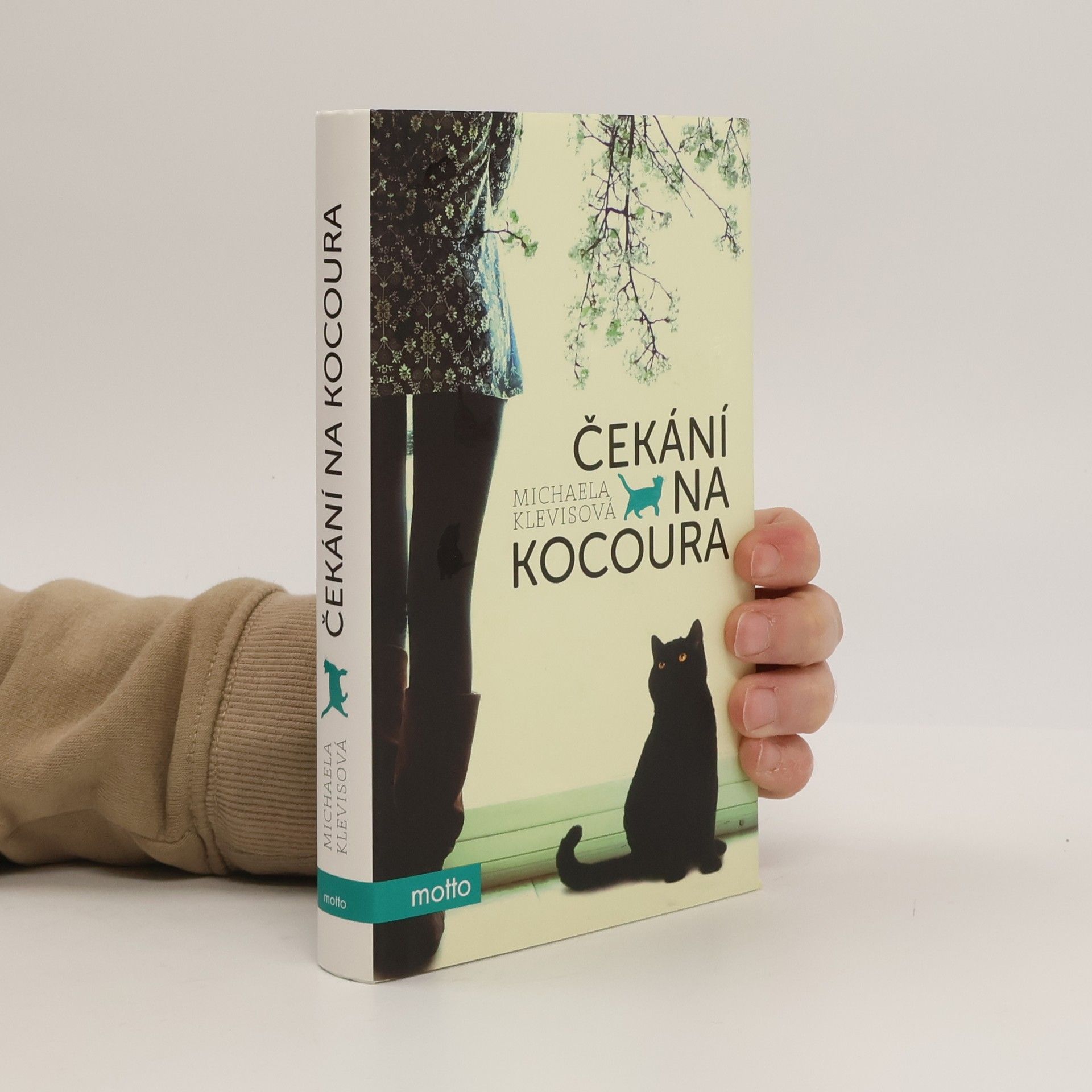 Michaela Klevisová Čekání na kocoura: Příběhy o kočkách a jejich lidech