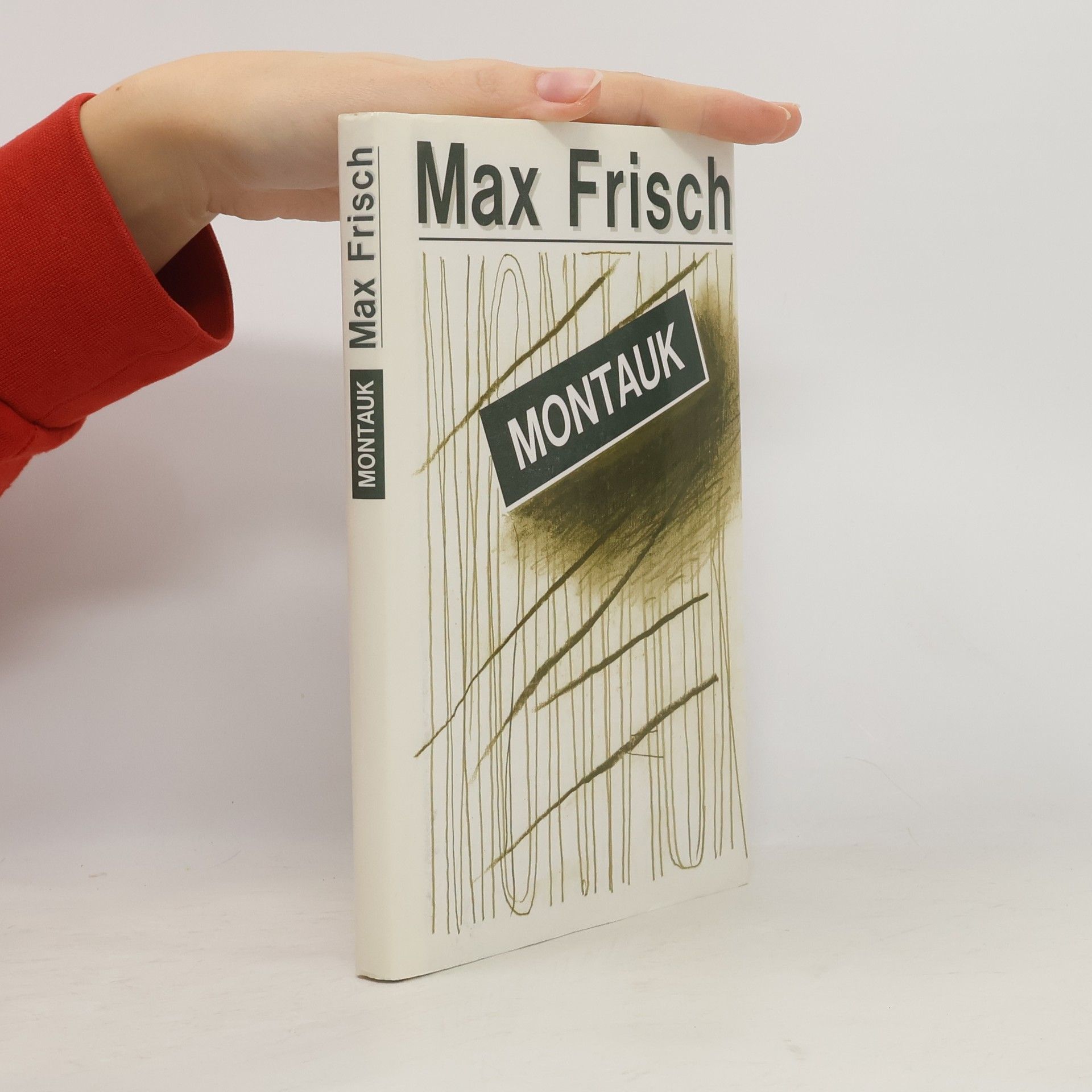 Max Frisch Montauk