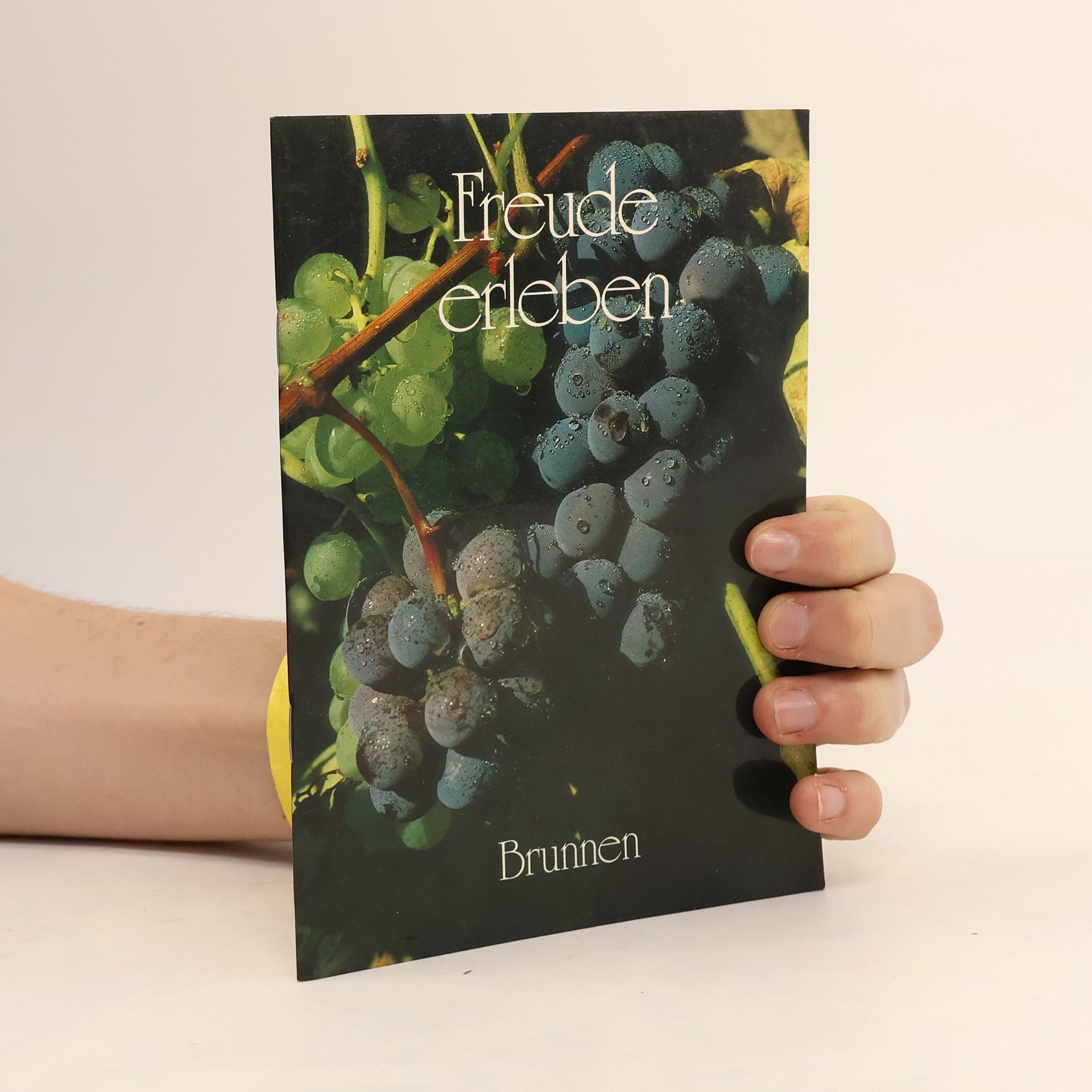 Kolektiv autorů Freude erleben