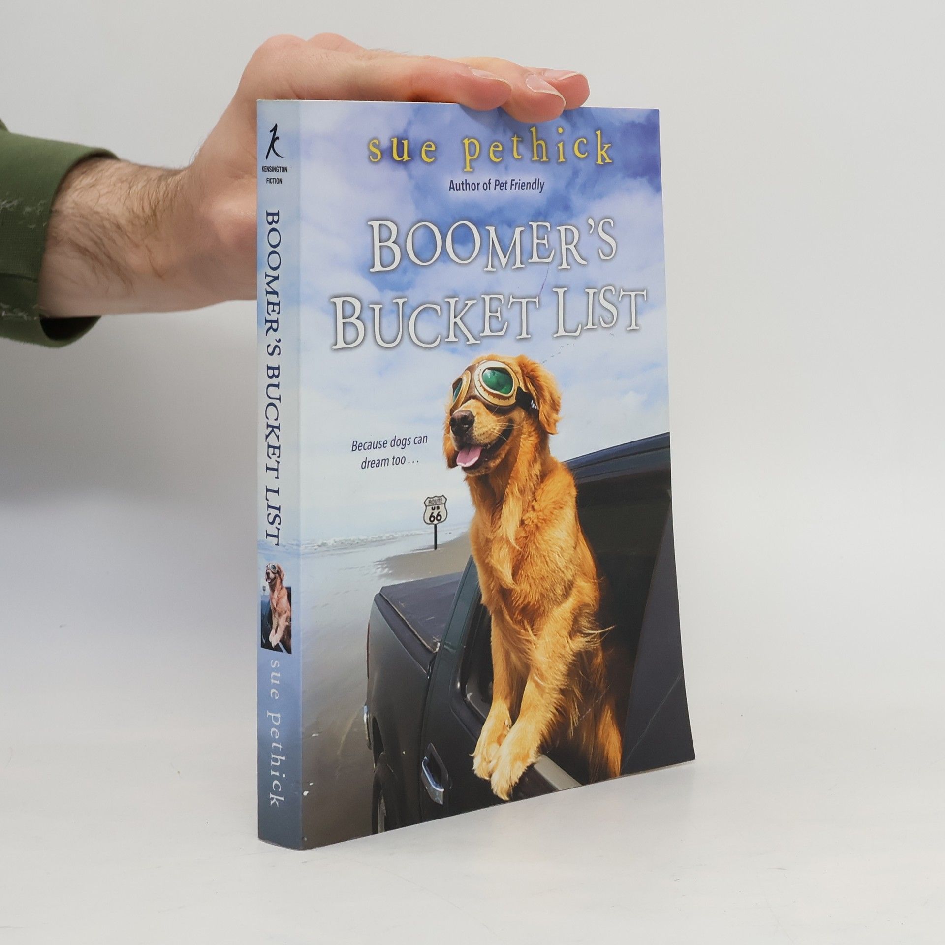 Sue Pethick Boomer's Bucket List