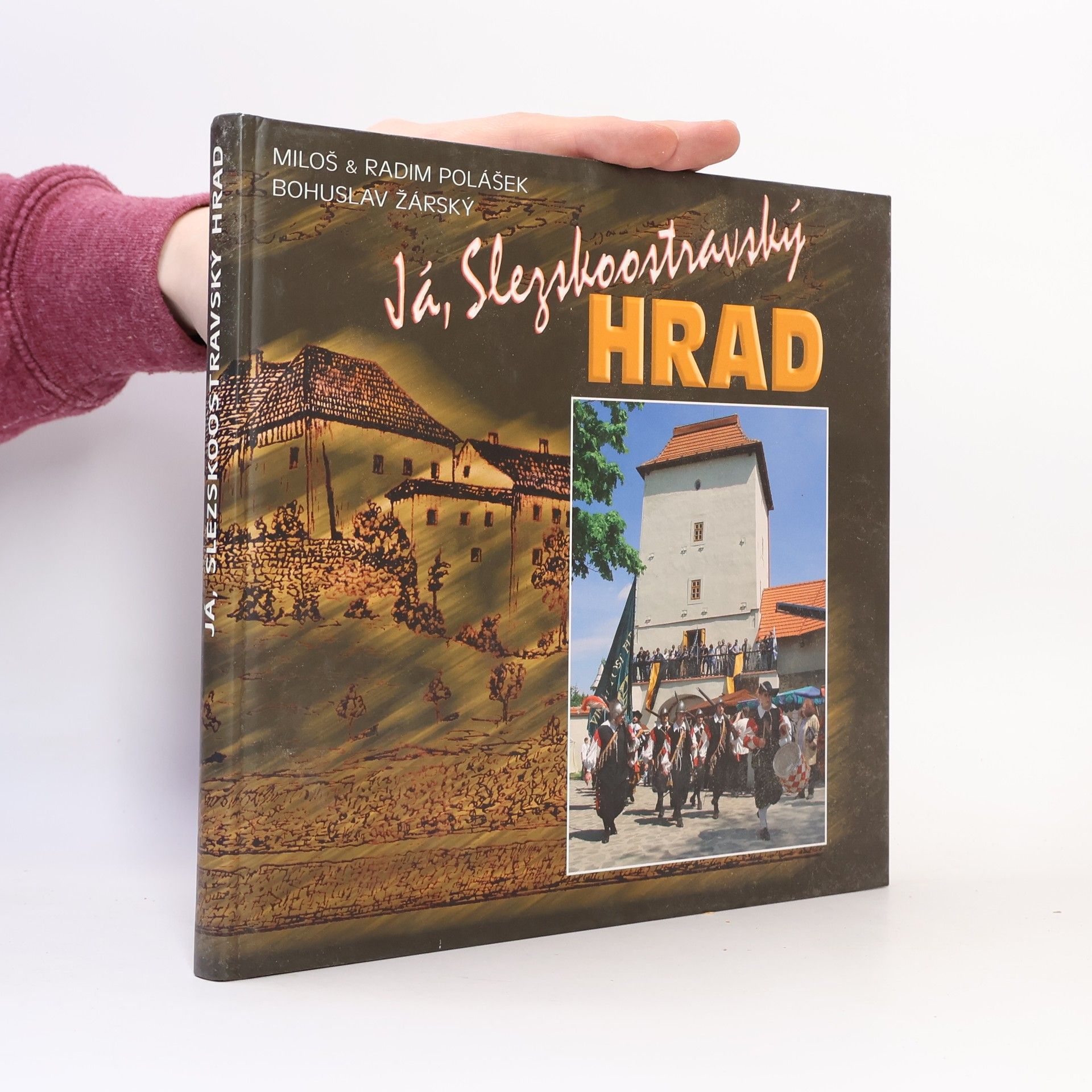 Miloš Polášek Já, Slezskoostravský hrad