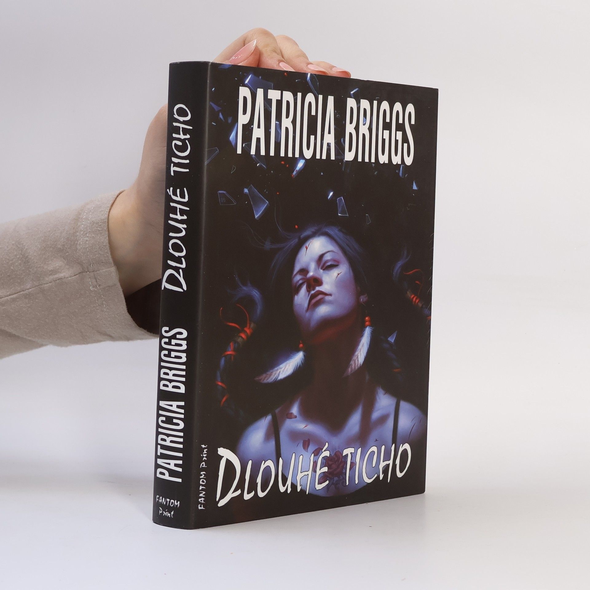 Patricia Briggs Dlouhé ticho