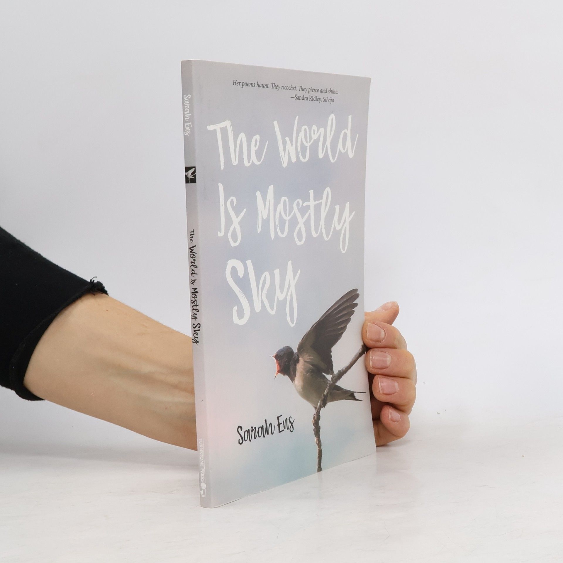 Sarah Ens The World Is Mostly Sky