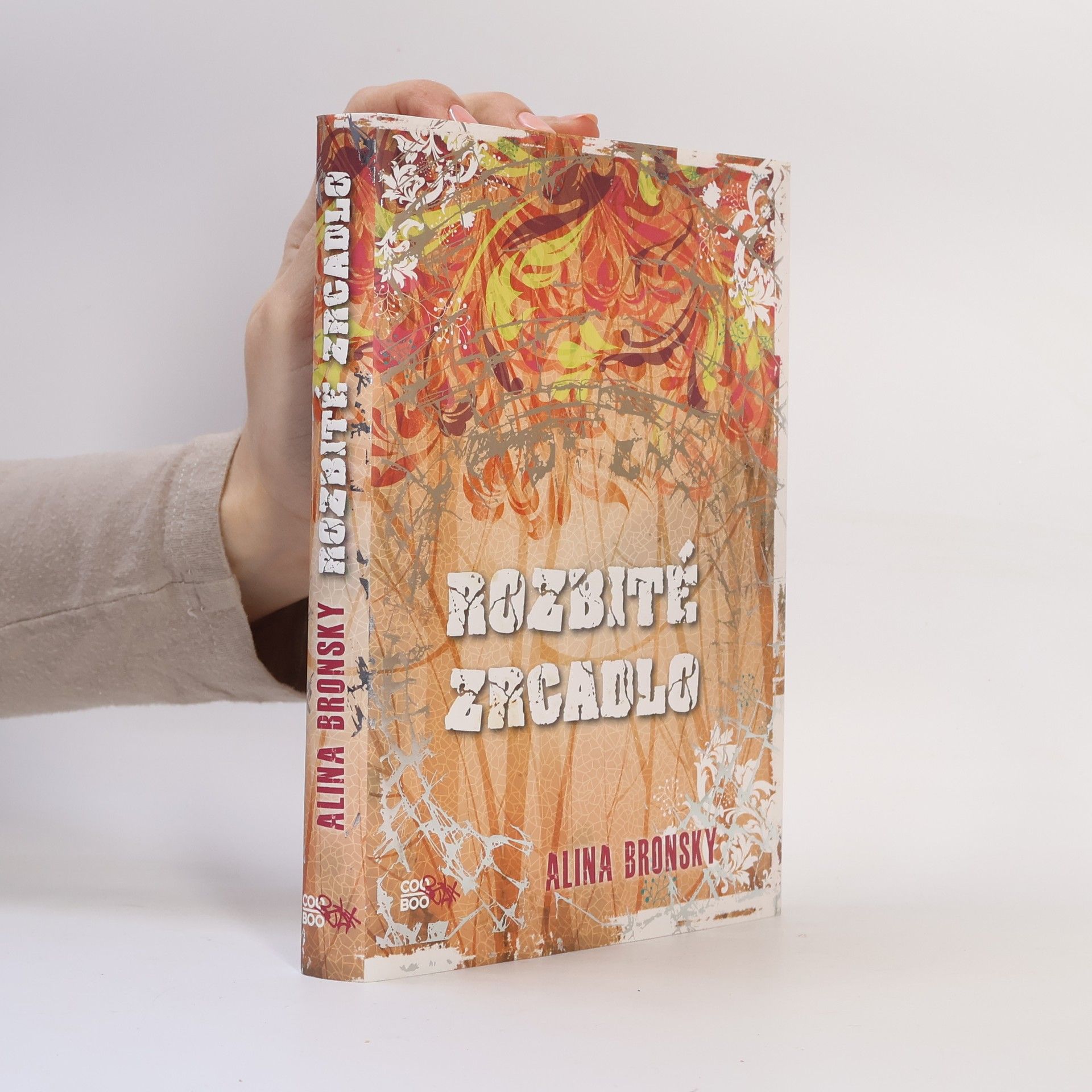 Alina Bronsky Rozbité zrcadlo