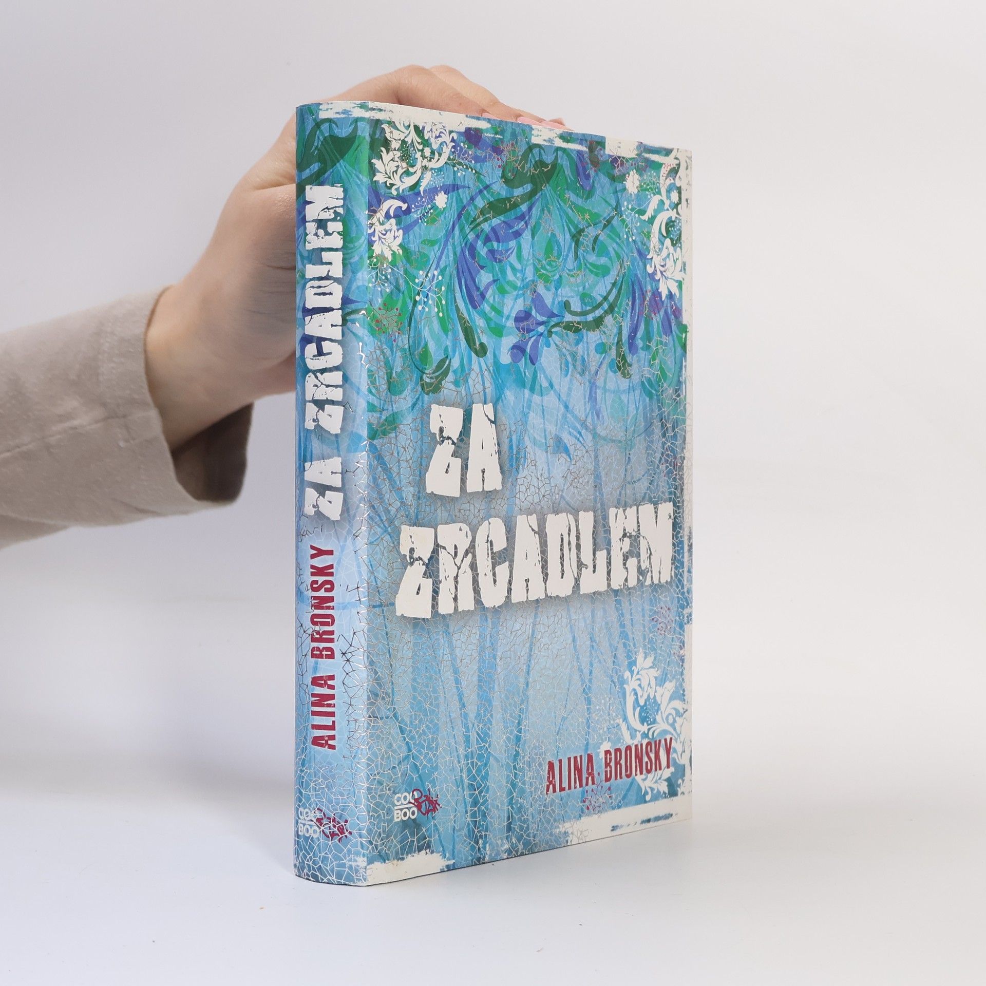 Alina Bronsky Za zrcadlem