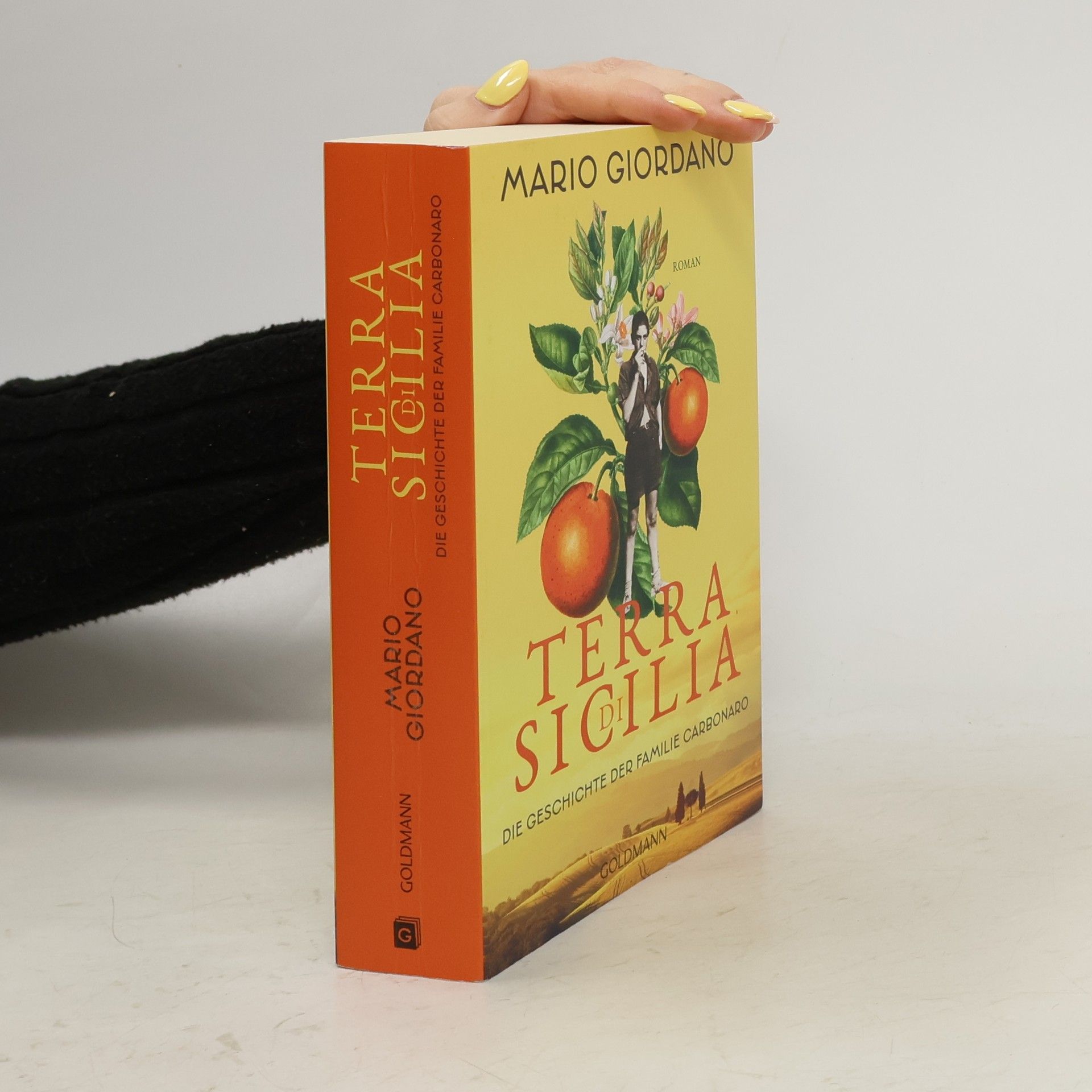 Mario Giordano Terra di Sicilia. Die Geschichte der Familie Carbonaro